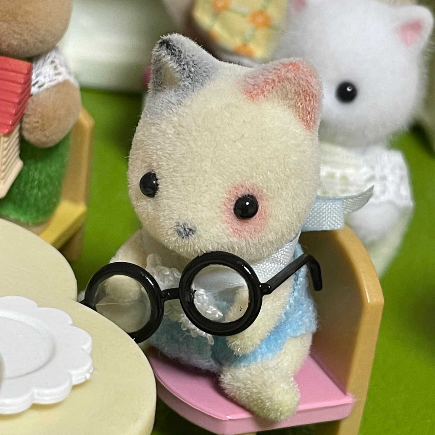 다람쥐 생일파티🐿️🎉🎂