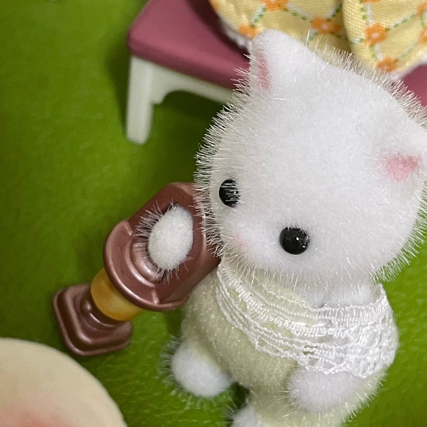 다람쥐 생일파티🐿️🎉🎂