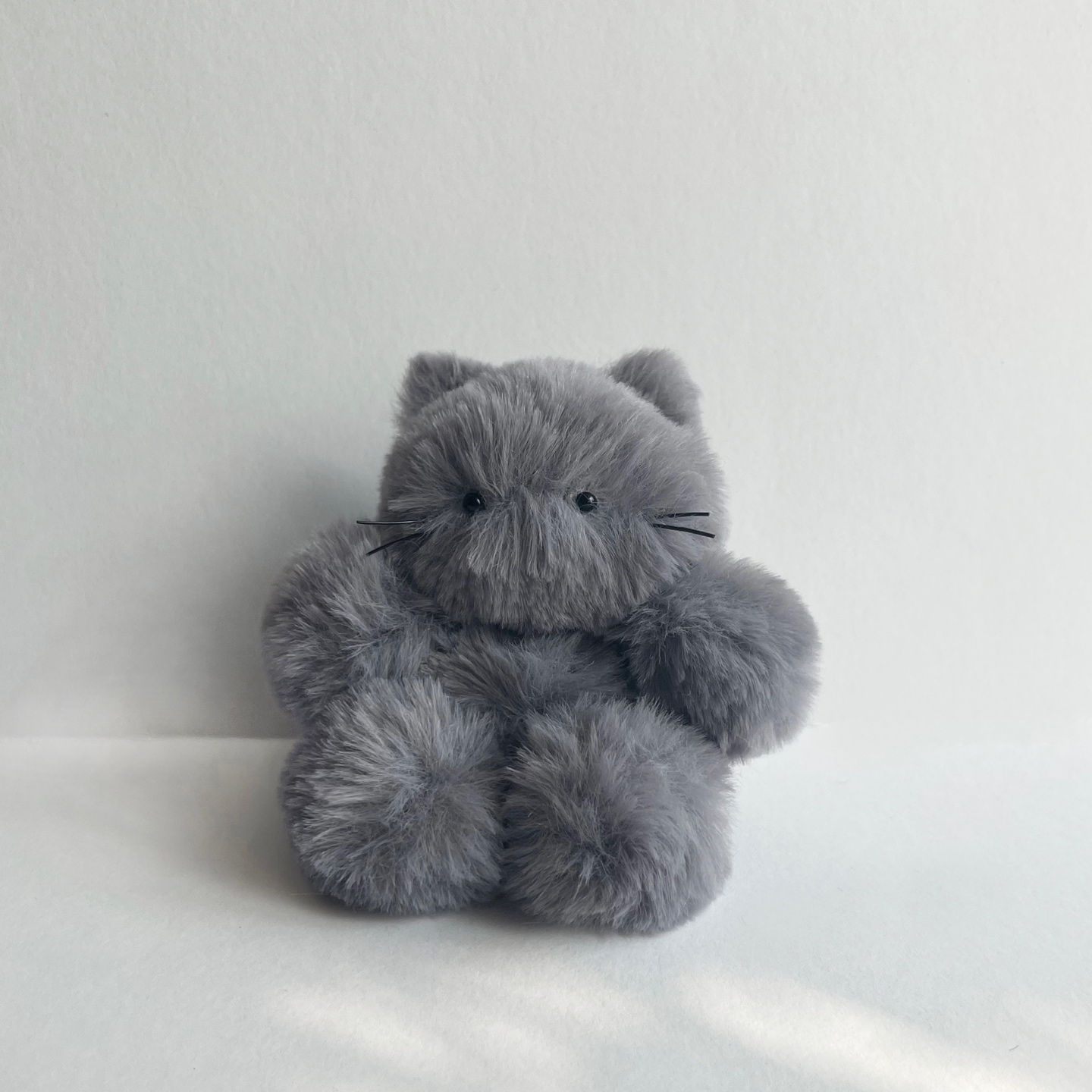 회냥이🐱🤍