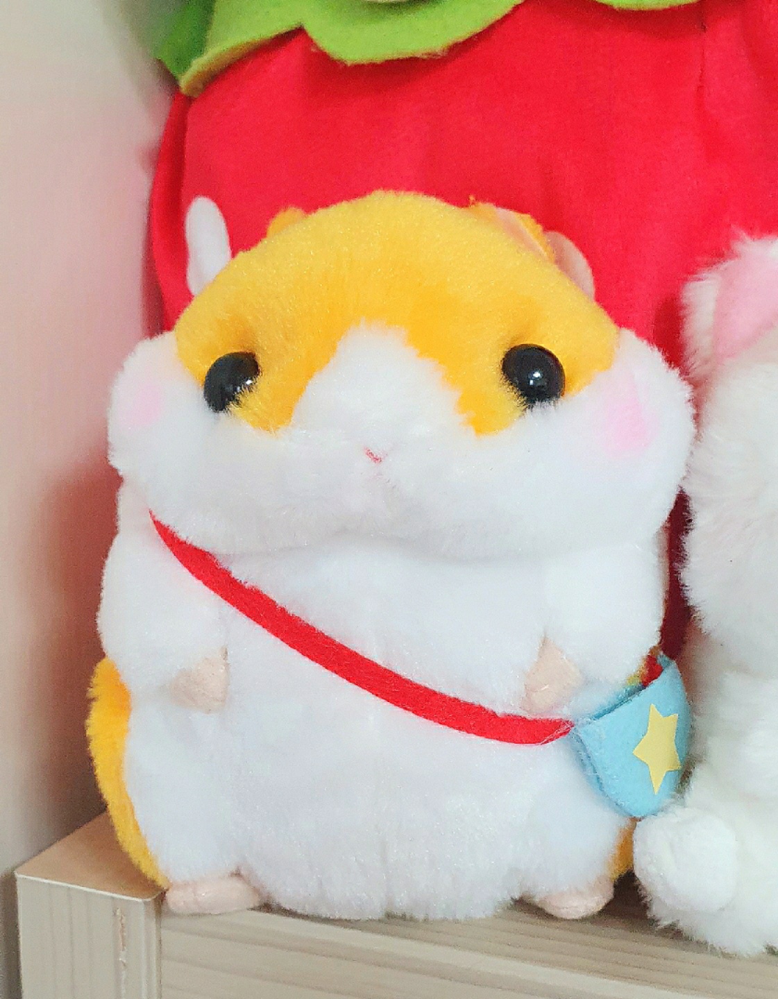 🐹코로하무코론❤