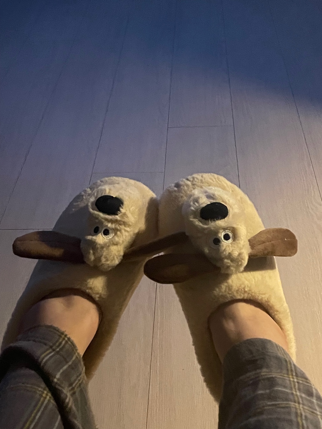 그로밋 슬리퍼🤎