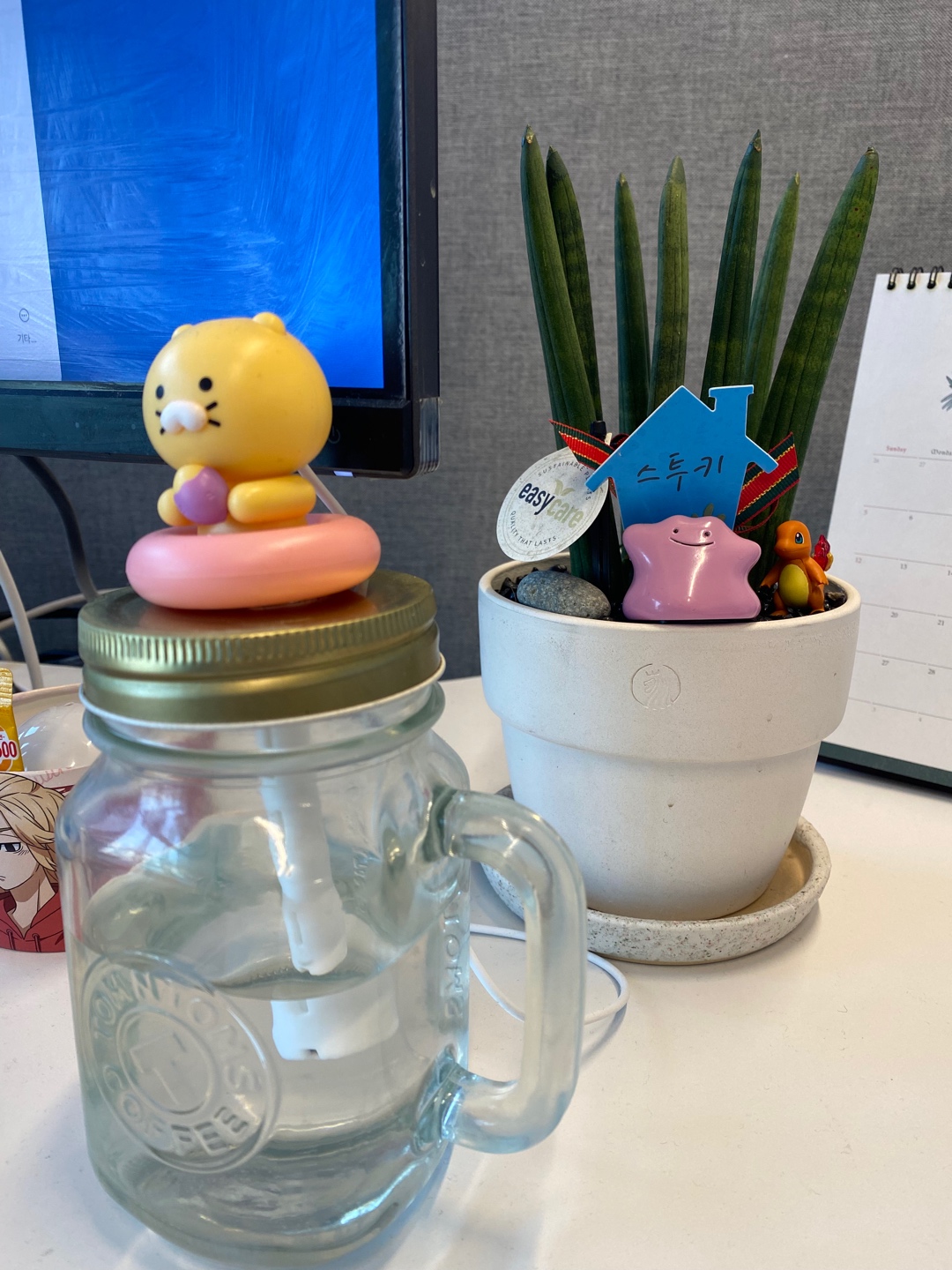 메타몽 & 파이리