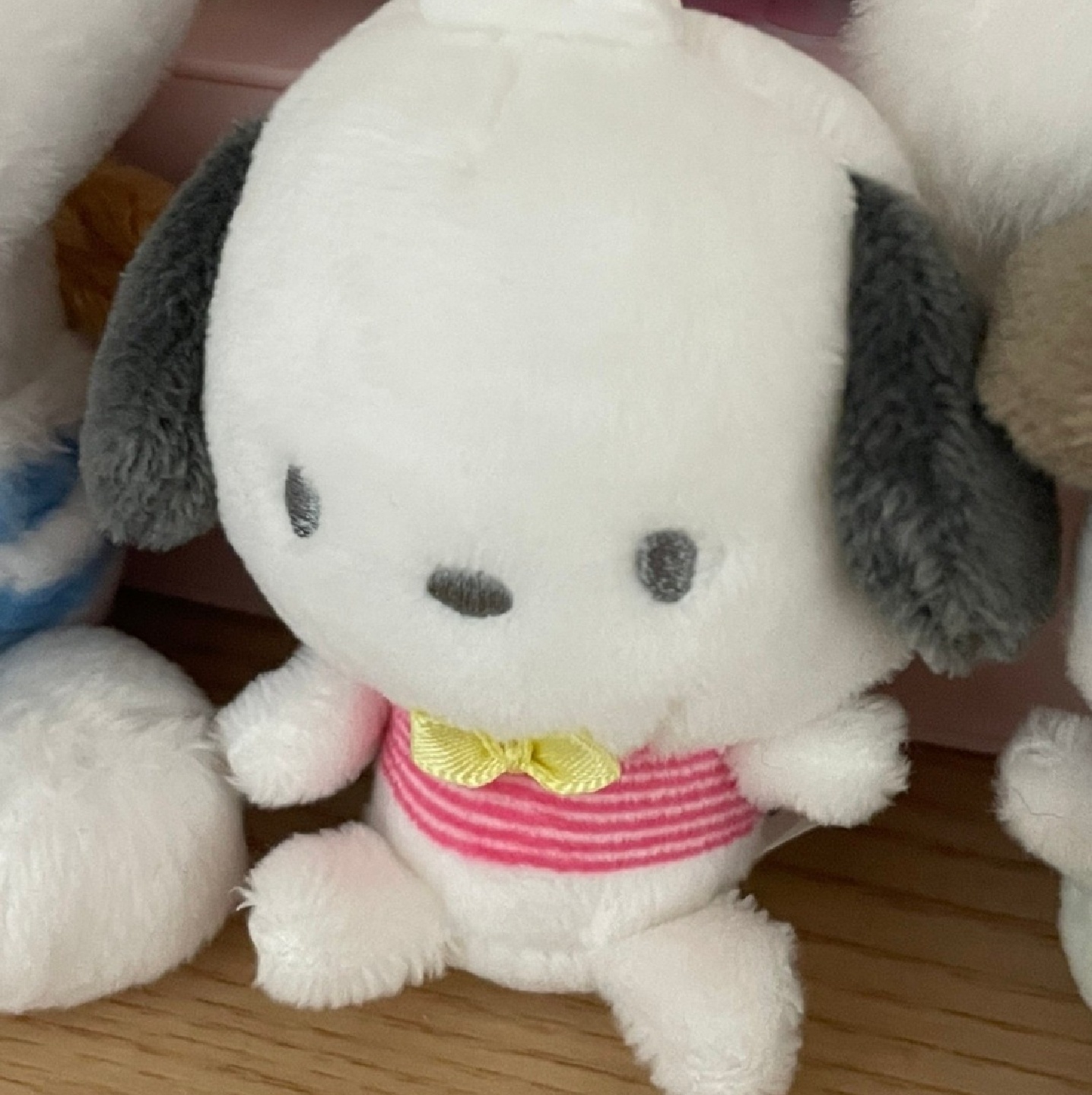 이 포챠코인형이름 아시는분