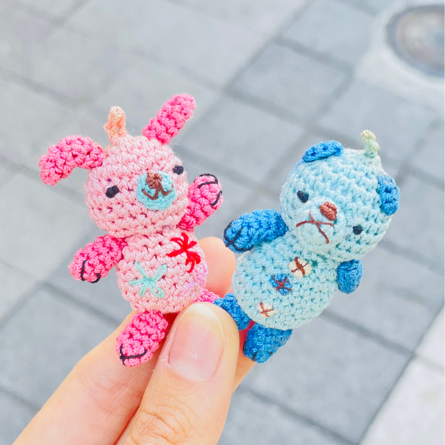 오랜만에 들어온 콜리💝