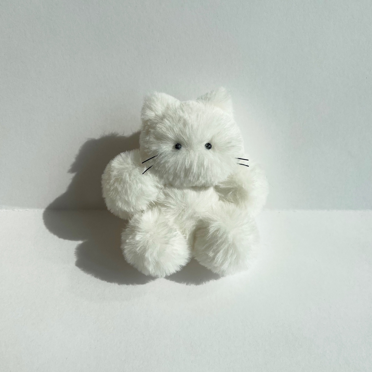 흰냥이