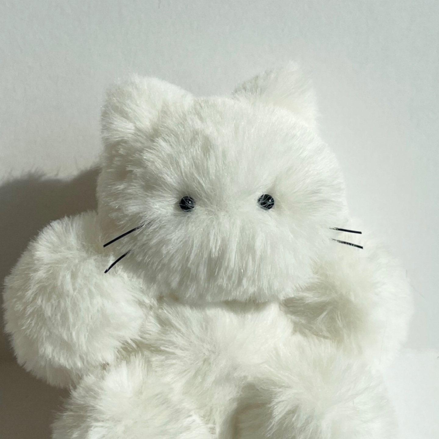 흰냥이