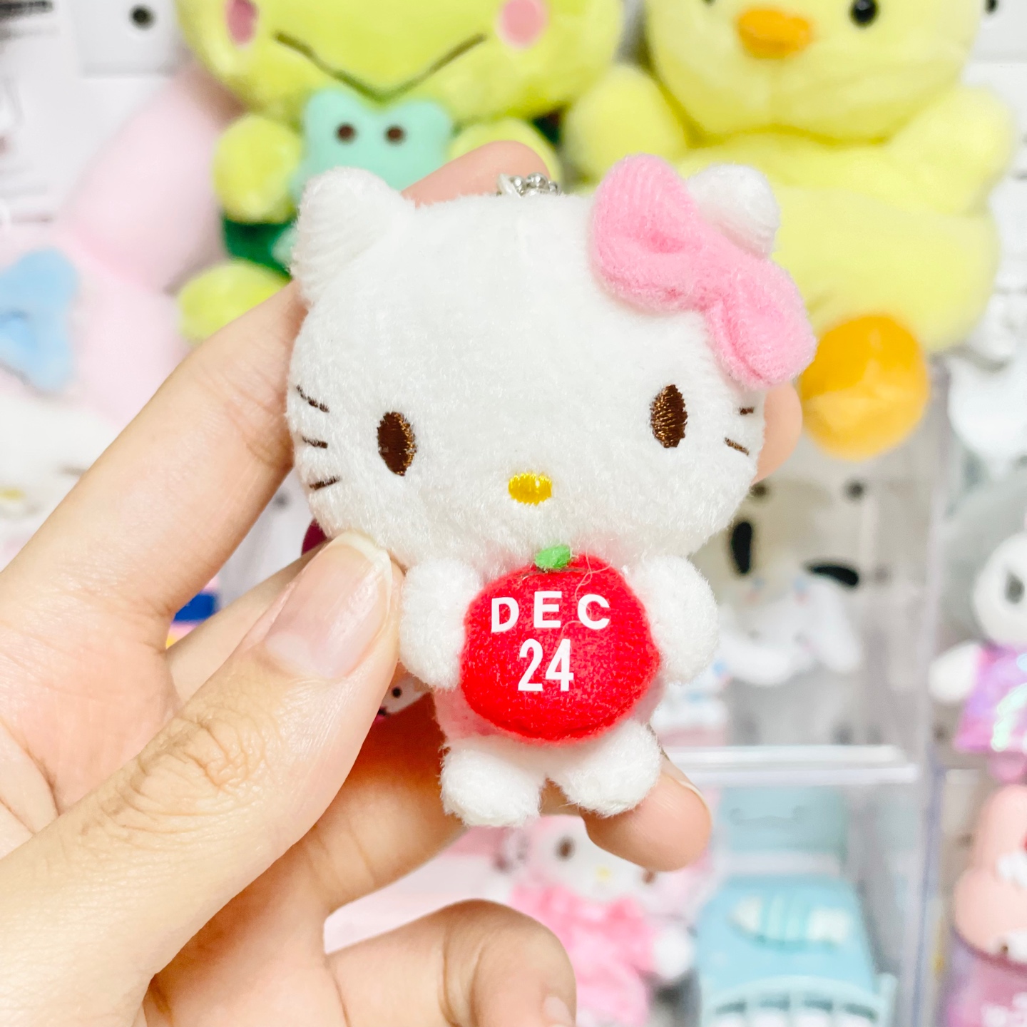 키티와 사랑에 빠지다..💝