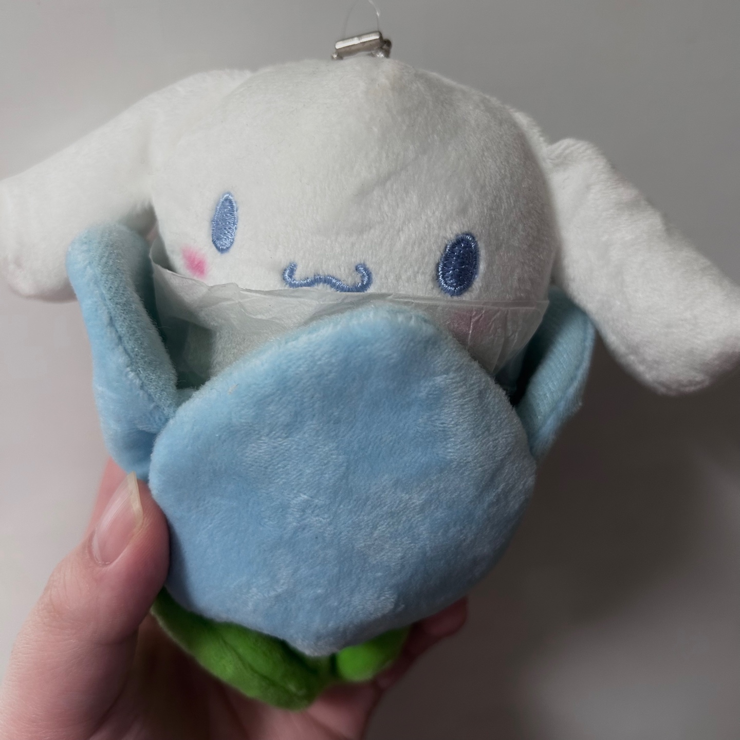 💚튤립 시나모롤💙