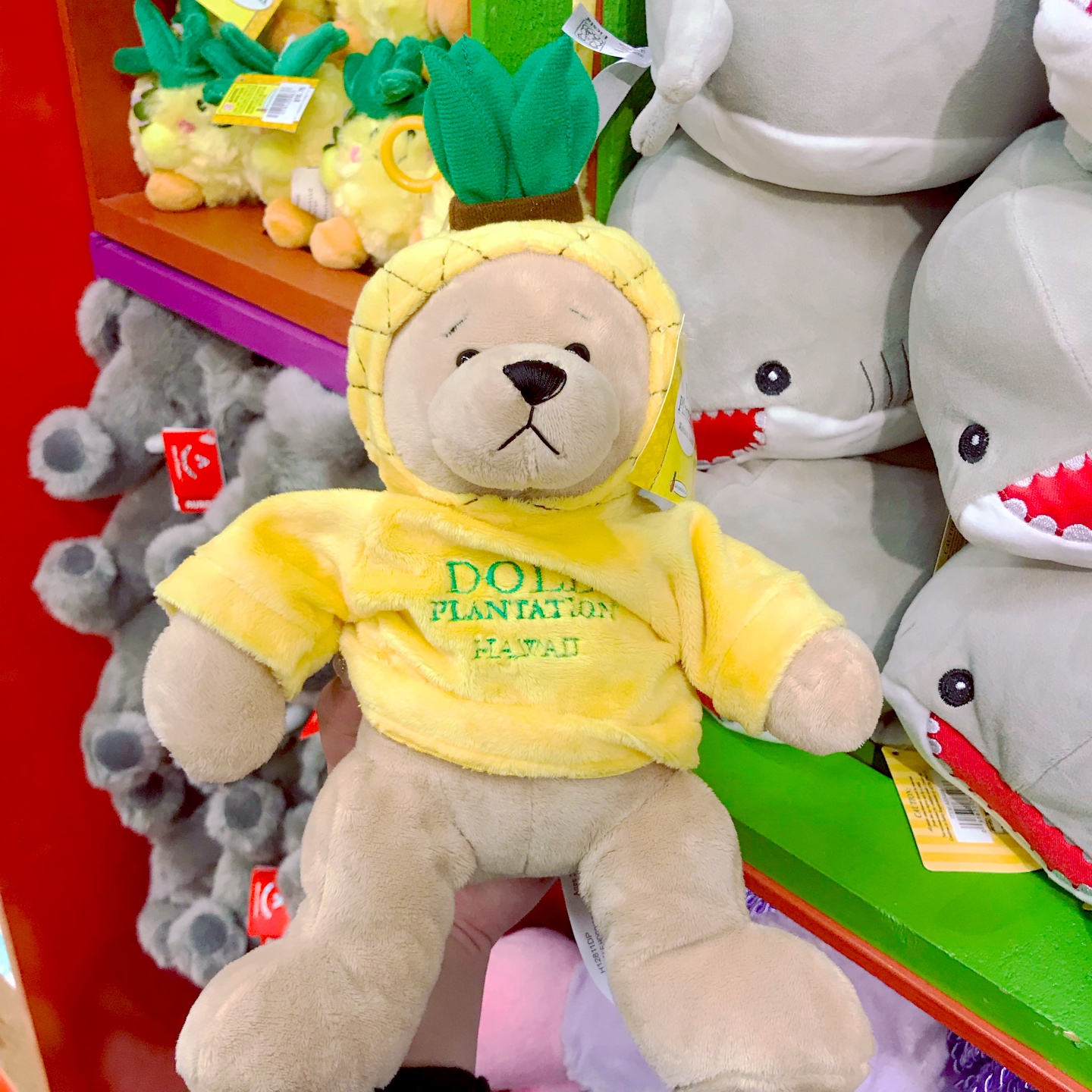 귀염뽀짝 곰돌이 🐻💓