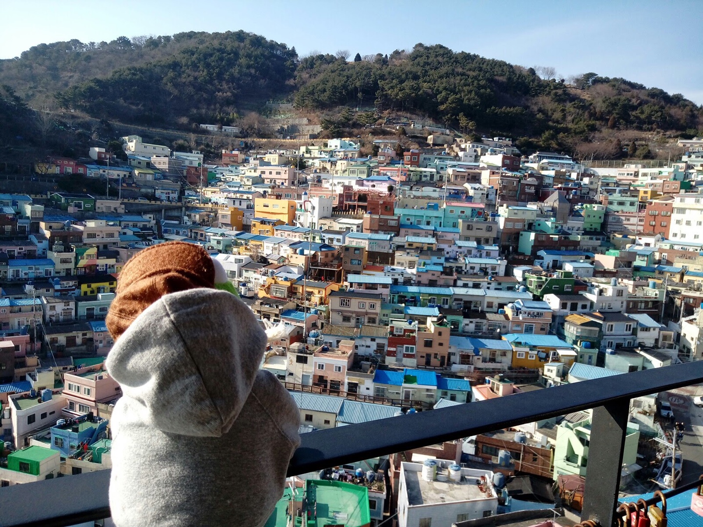 커밋과 부산여행을