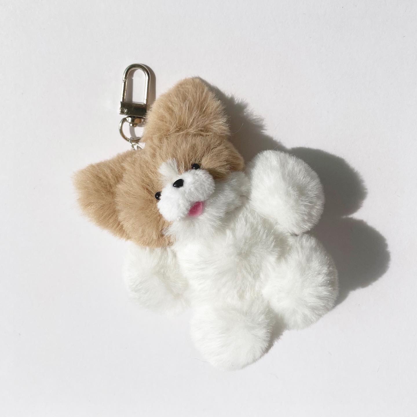 춘복이와 춘자🐕✨