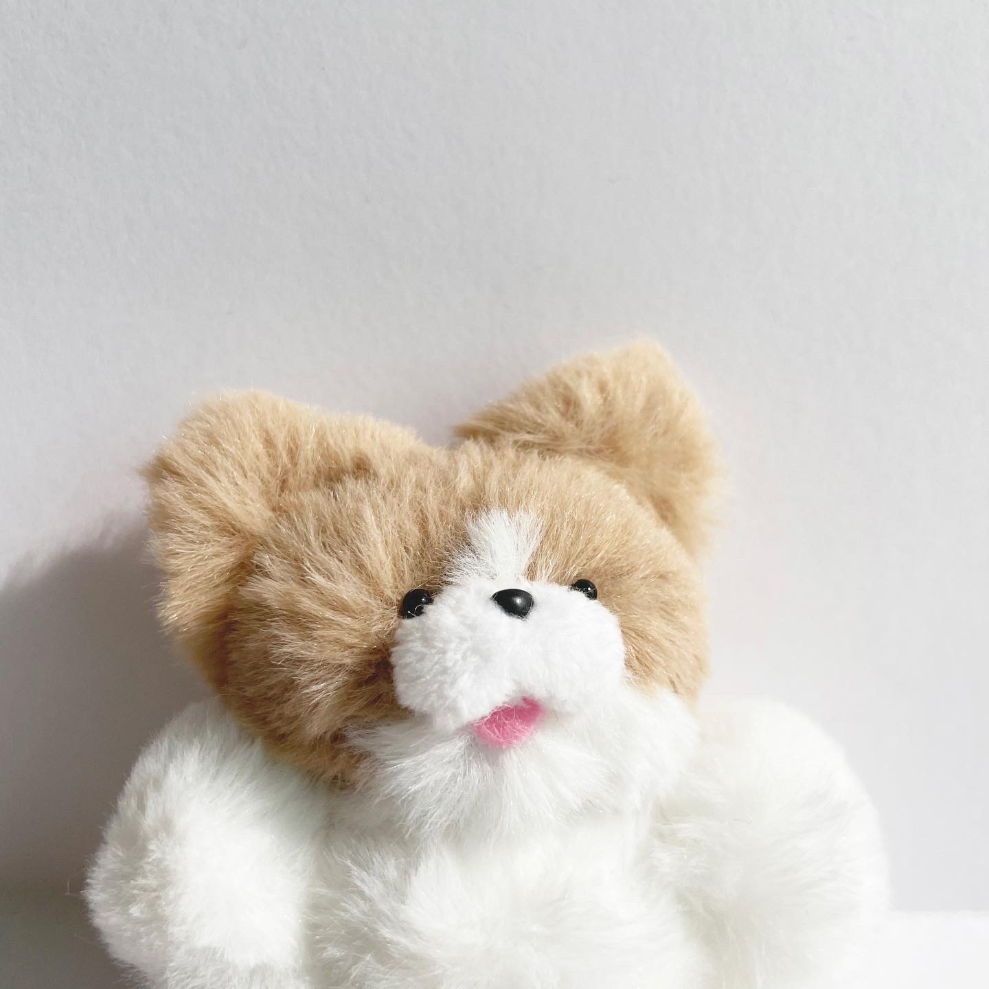 춘복이와 춘자🐕✨