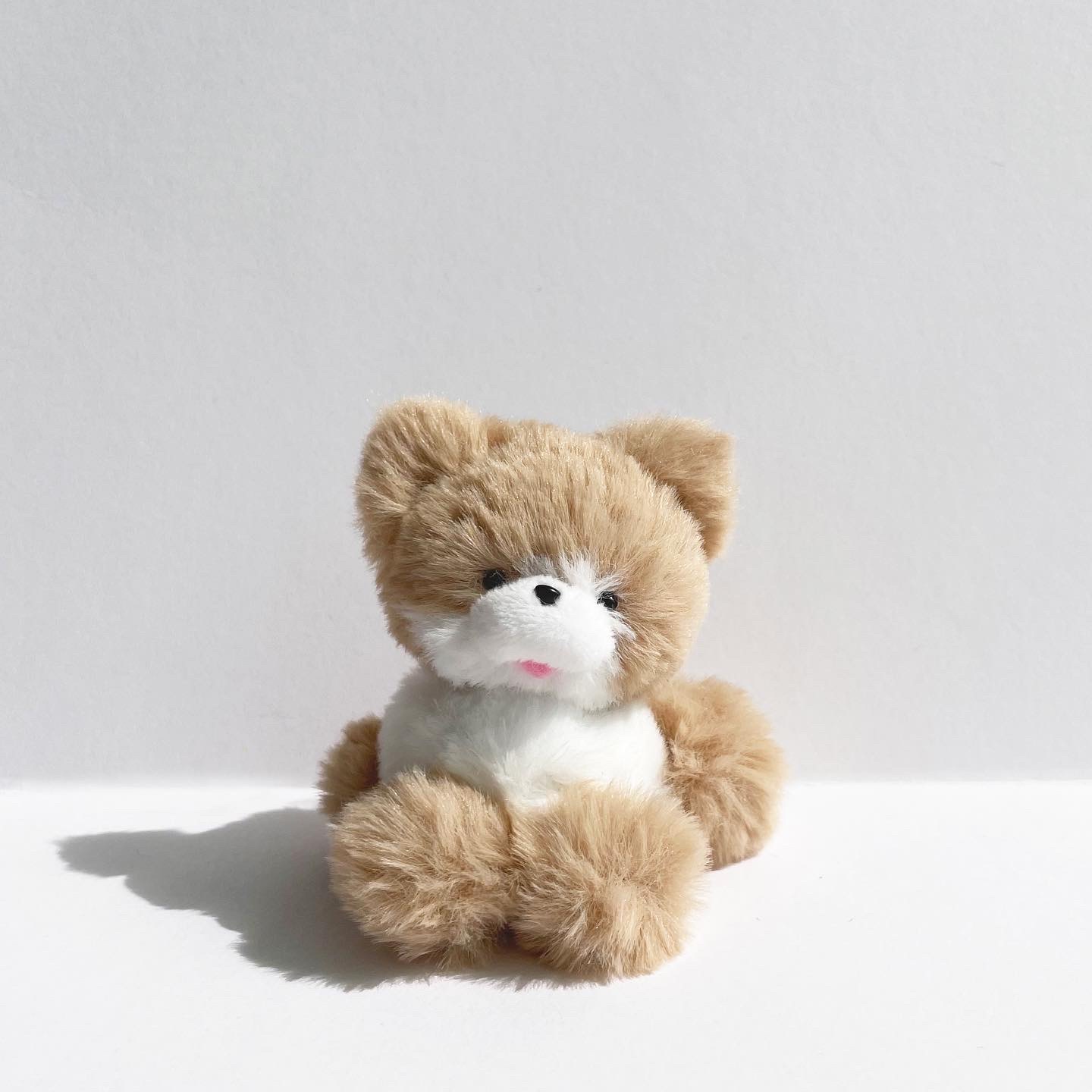 춘복이와 춘자🐕✨