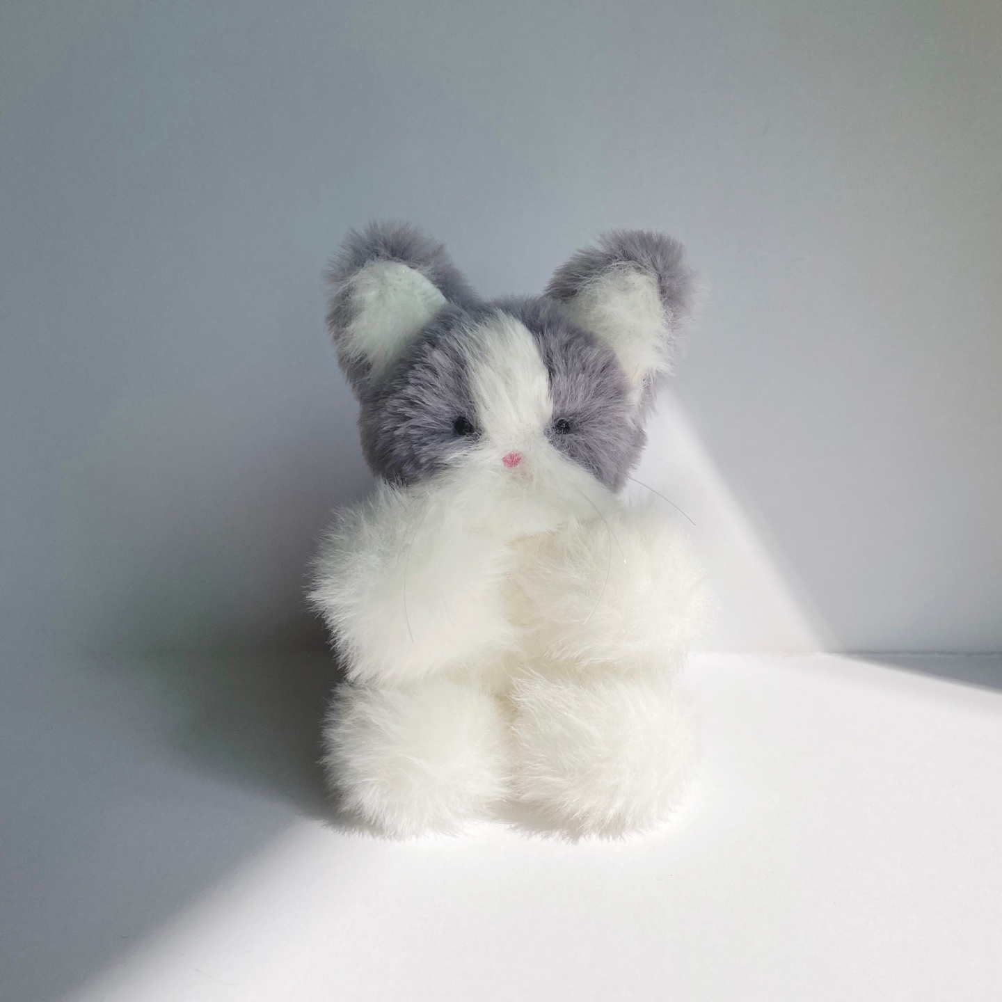 복실복실 야옹이✨