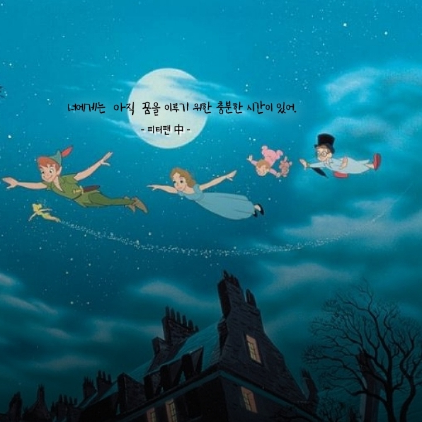 -피터팬-