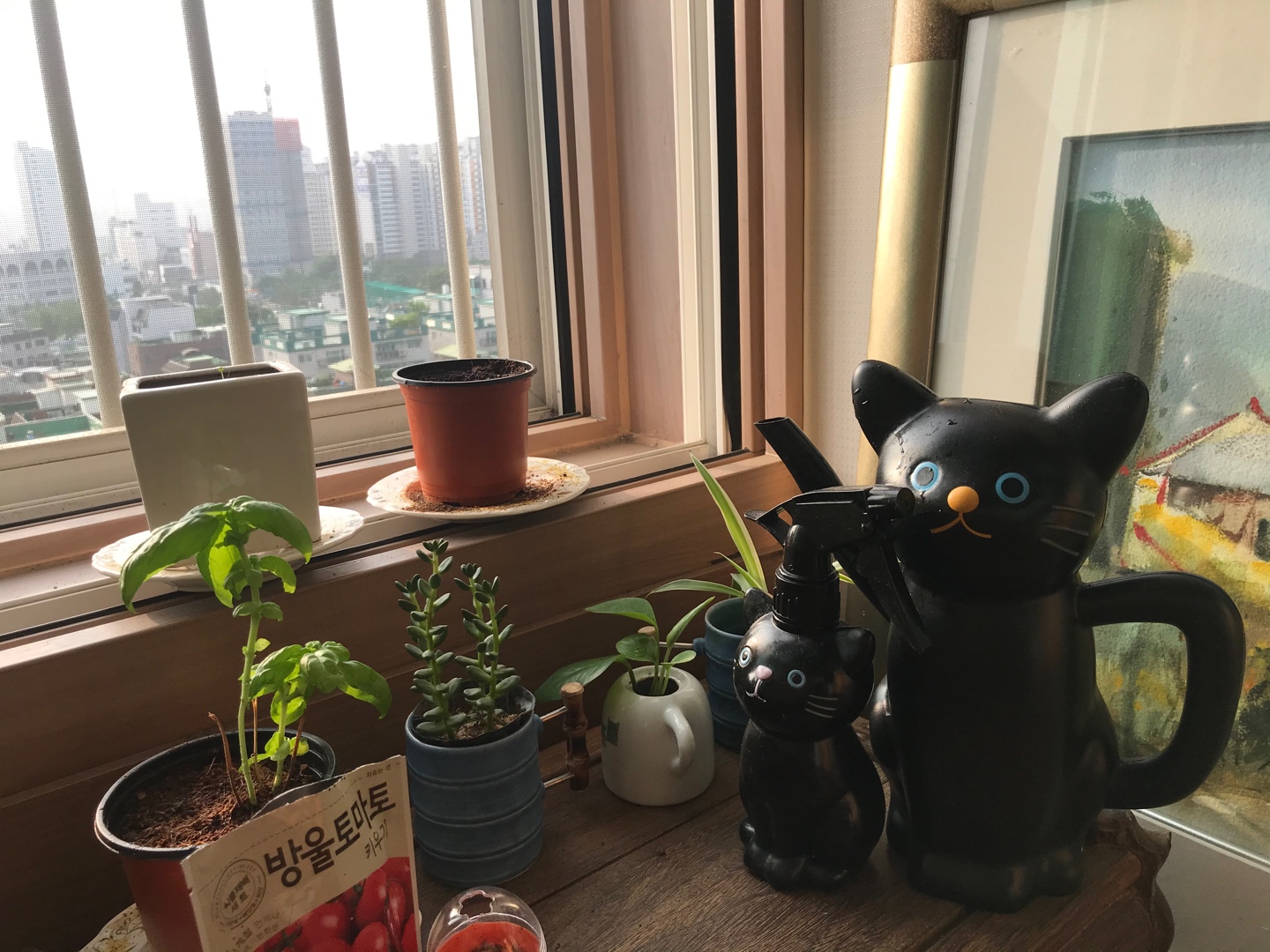 고양이가족의화원