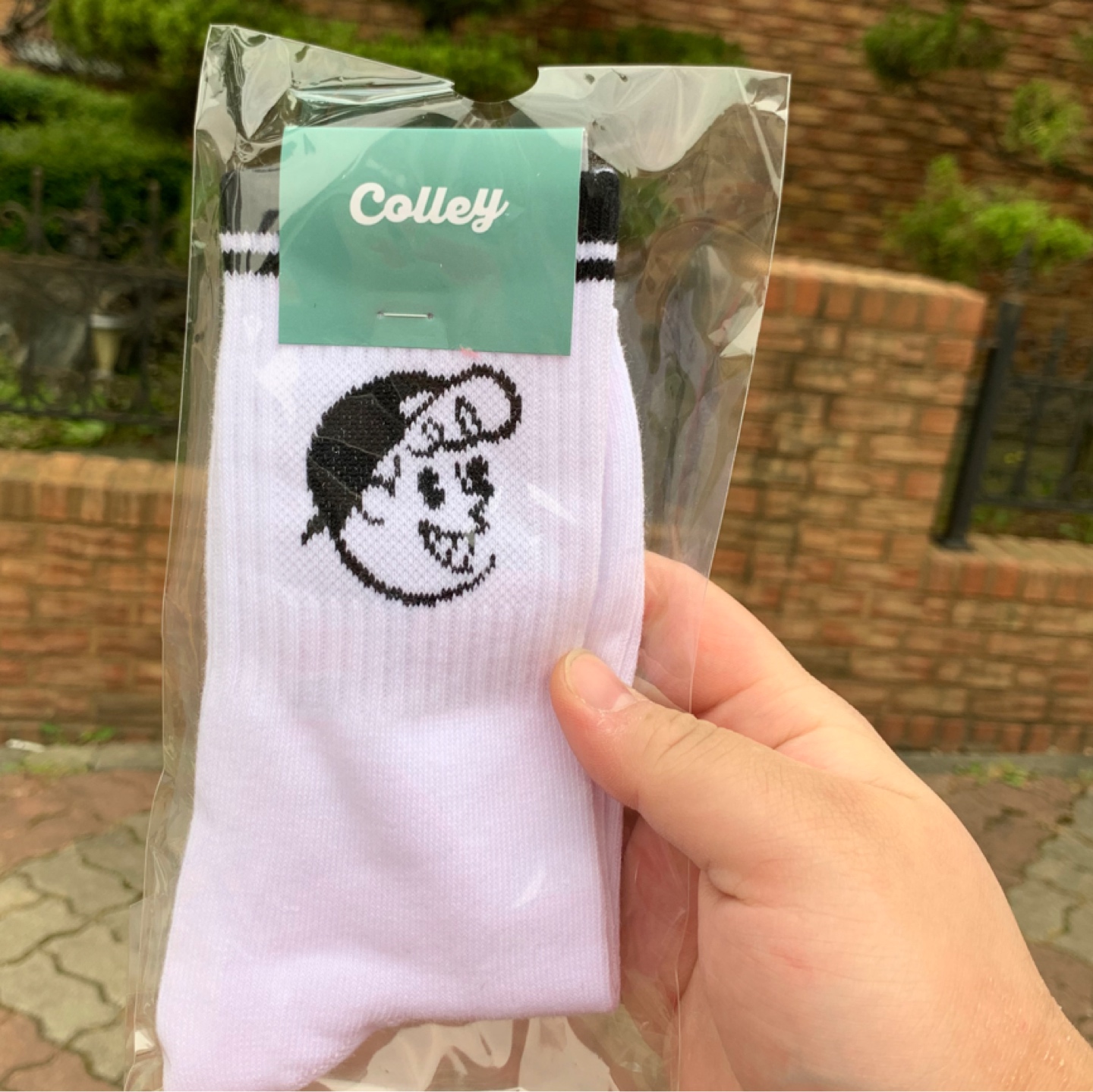 제목 없음