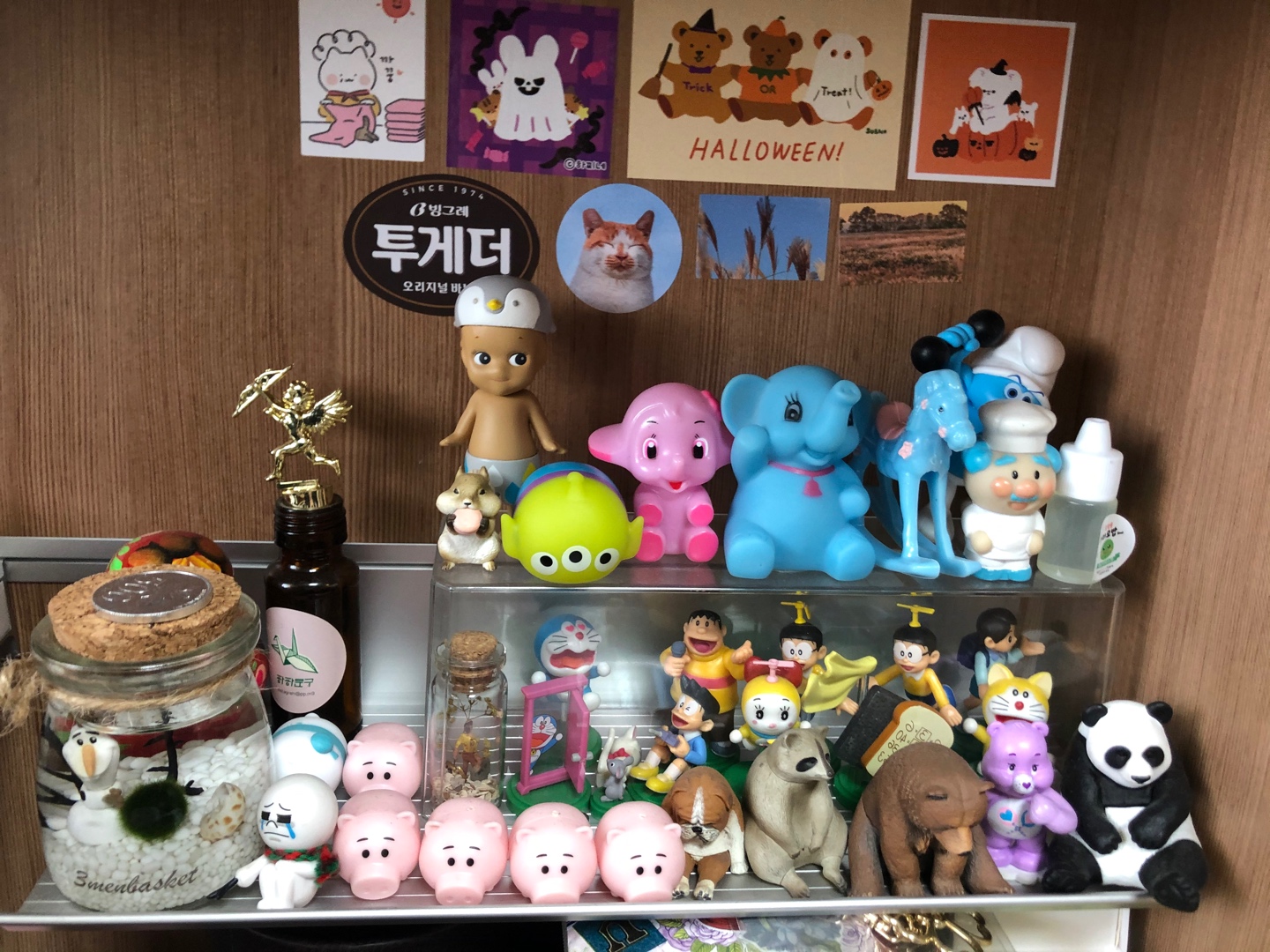 🤍영토리숲💚