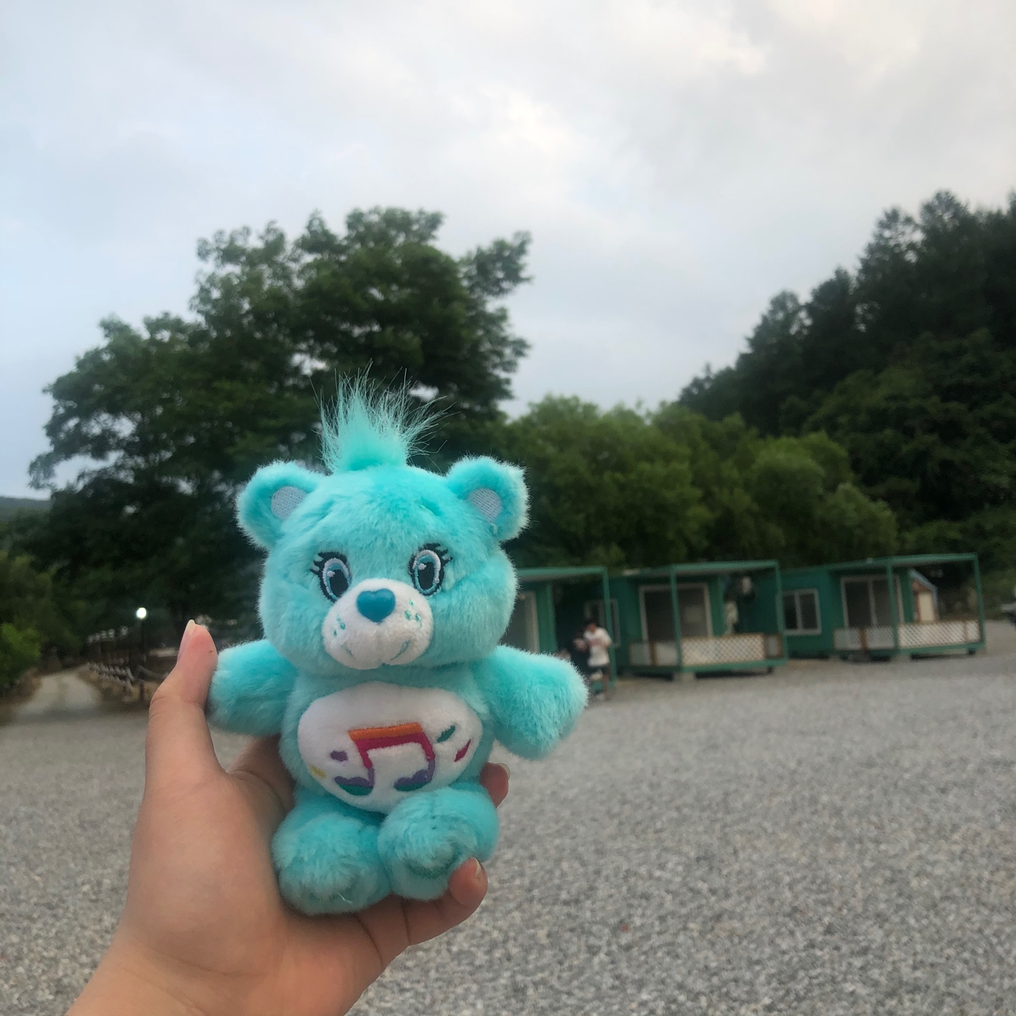 캠핑