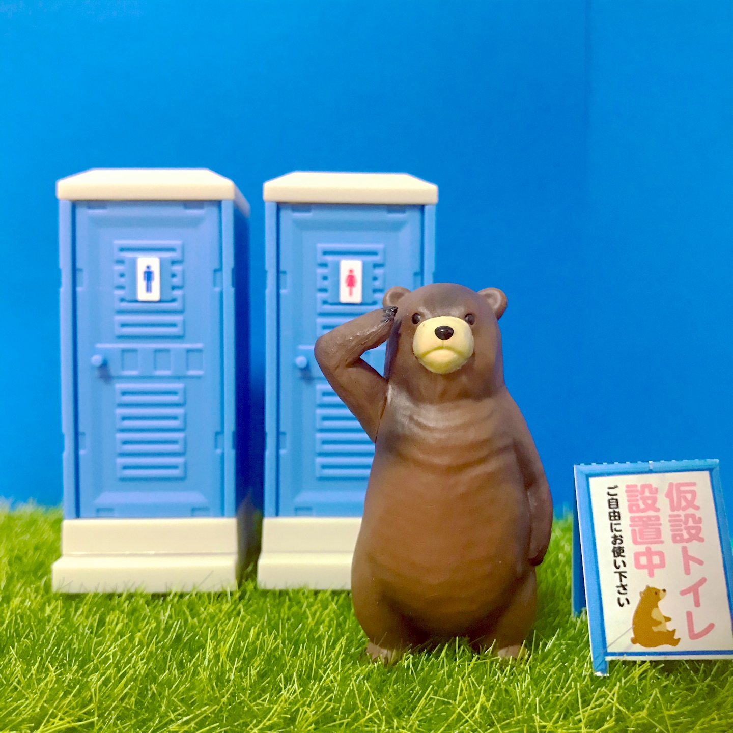 !!곰조심!!