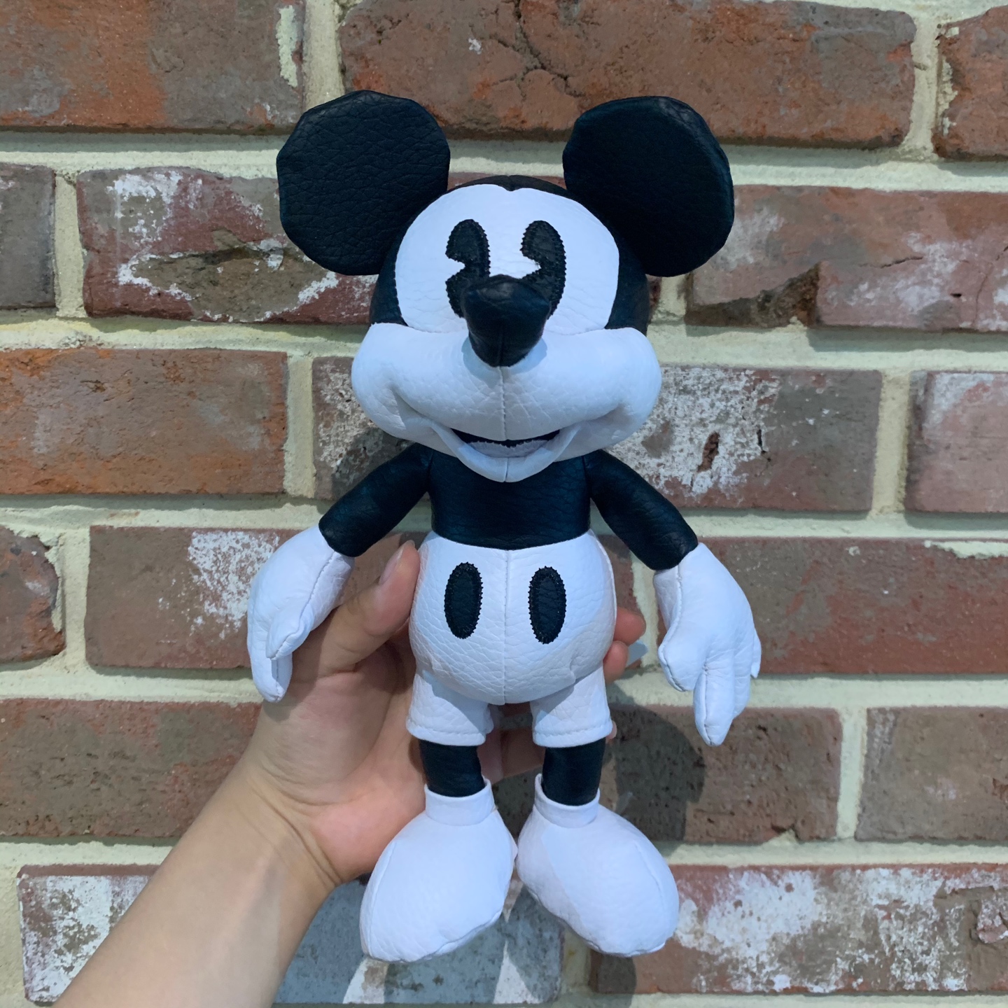 Mickey Mouse