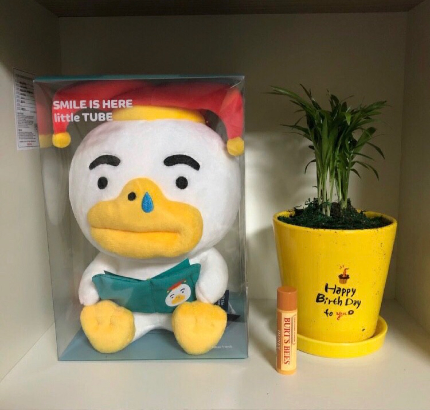 카카오프렌즈 튜브🐥