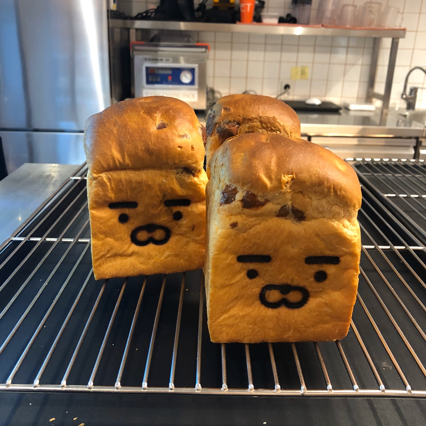 라이언 식빵🍞&어피치 마카롱🍬