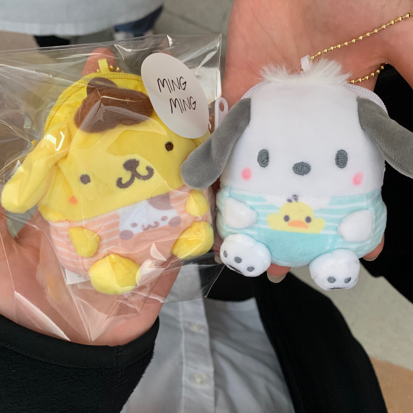 포챠코와 폼폼푸린(´▽`ʃƪ)♡
