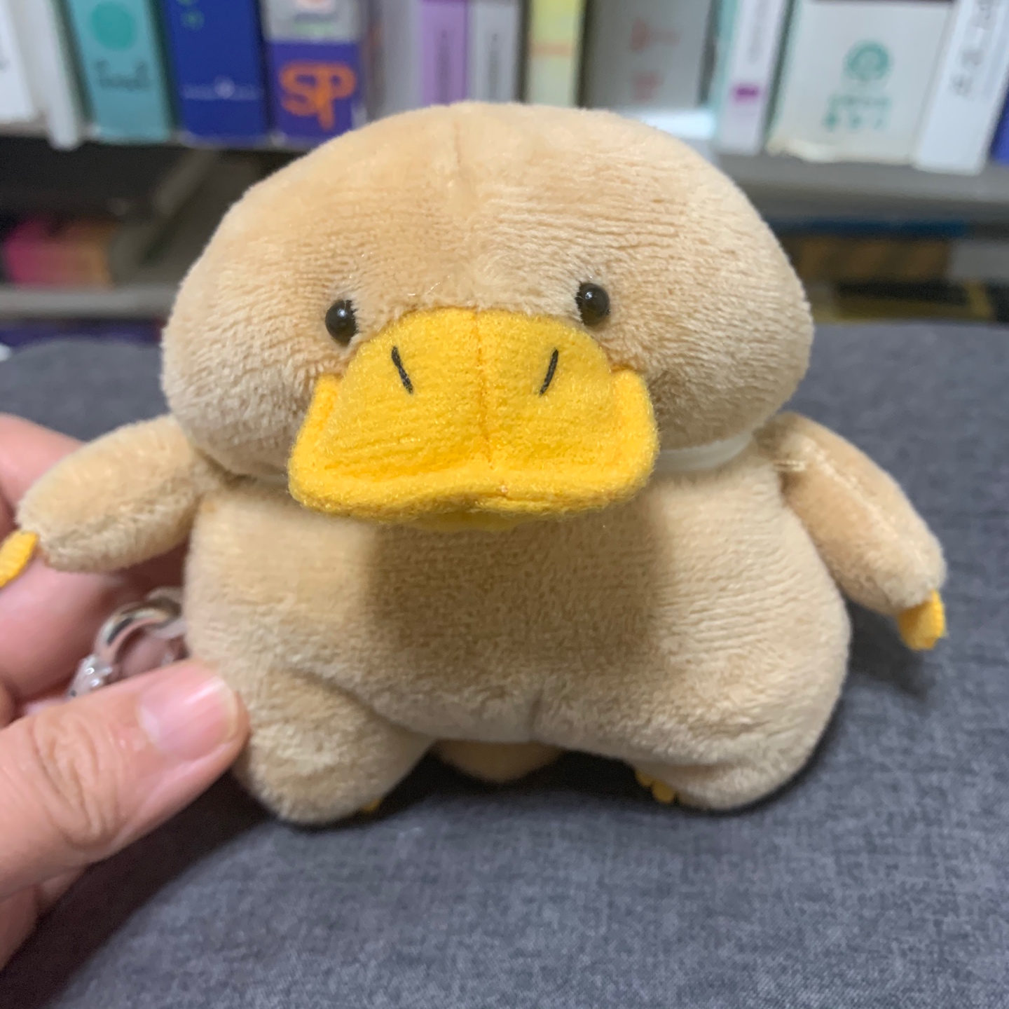 오리너구리 팟