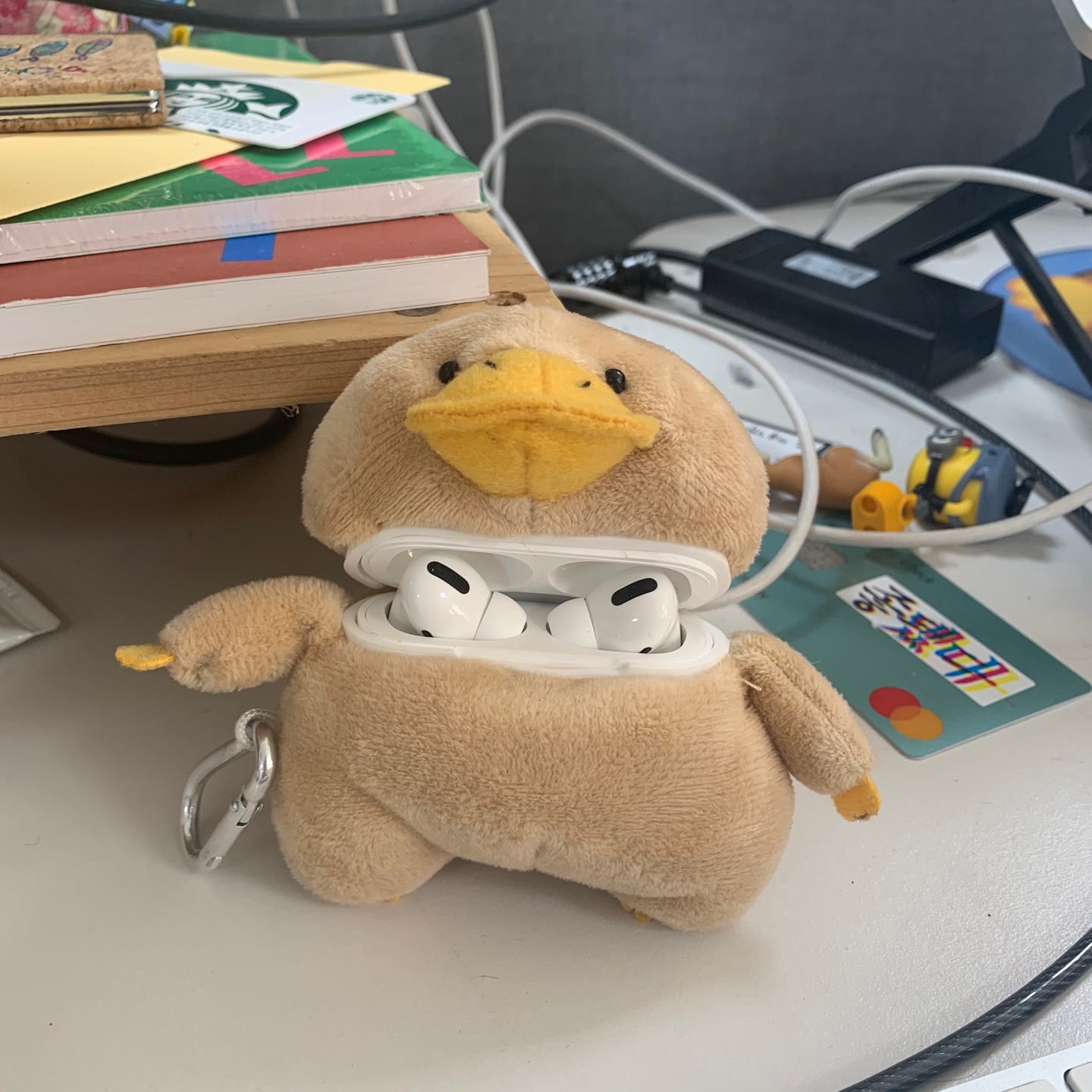 오리너구리 팟