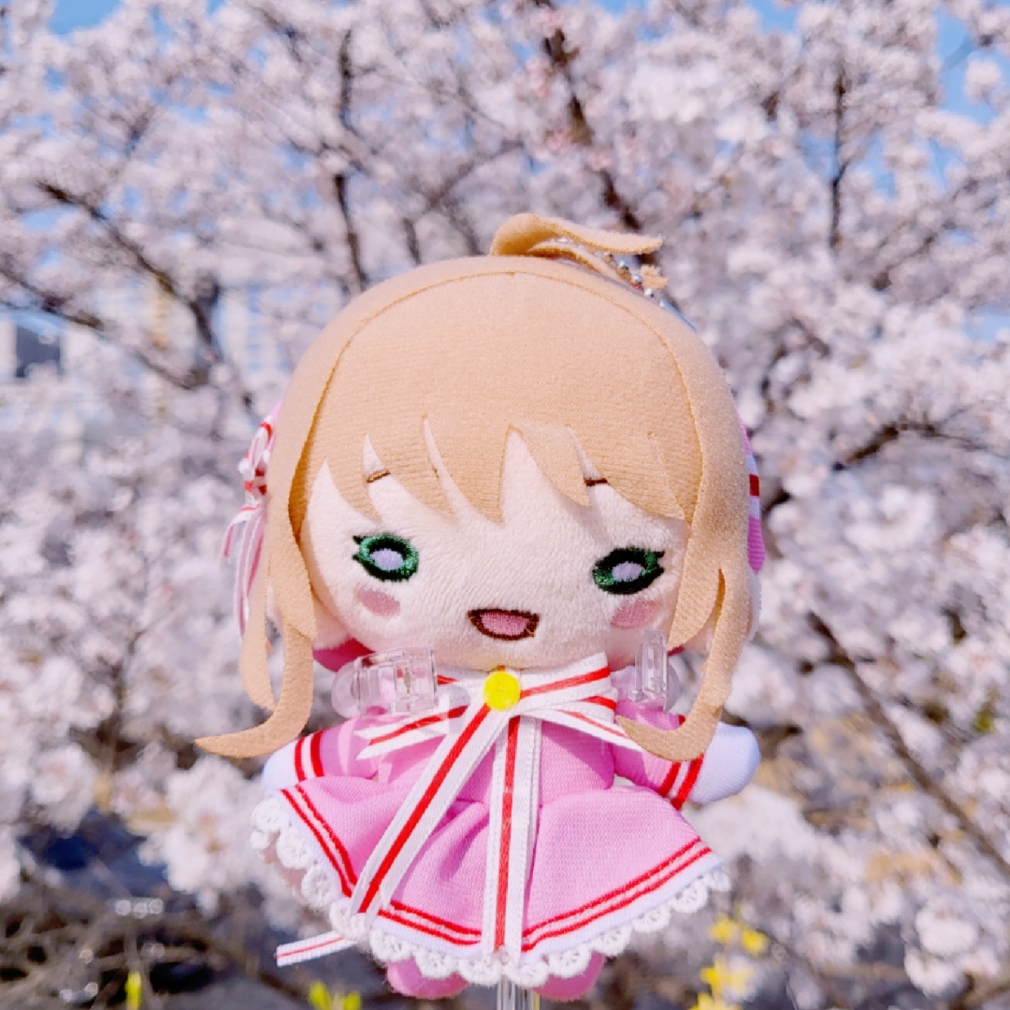 🌸