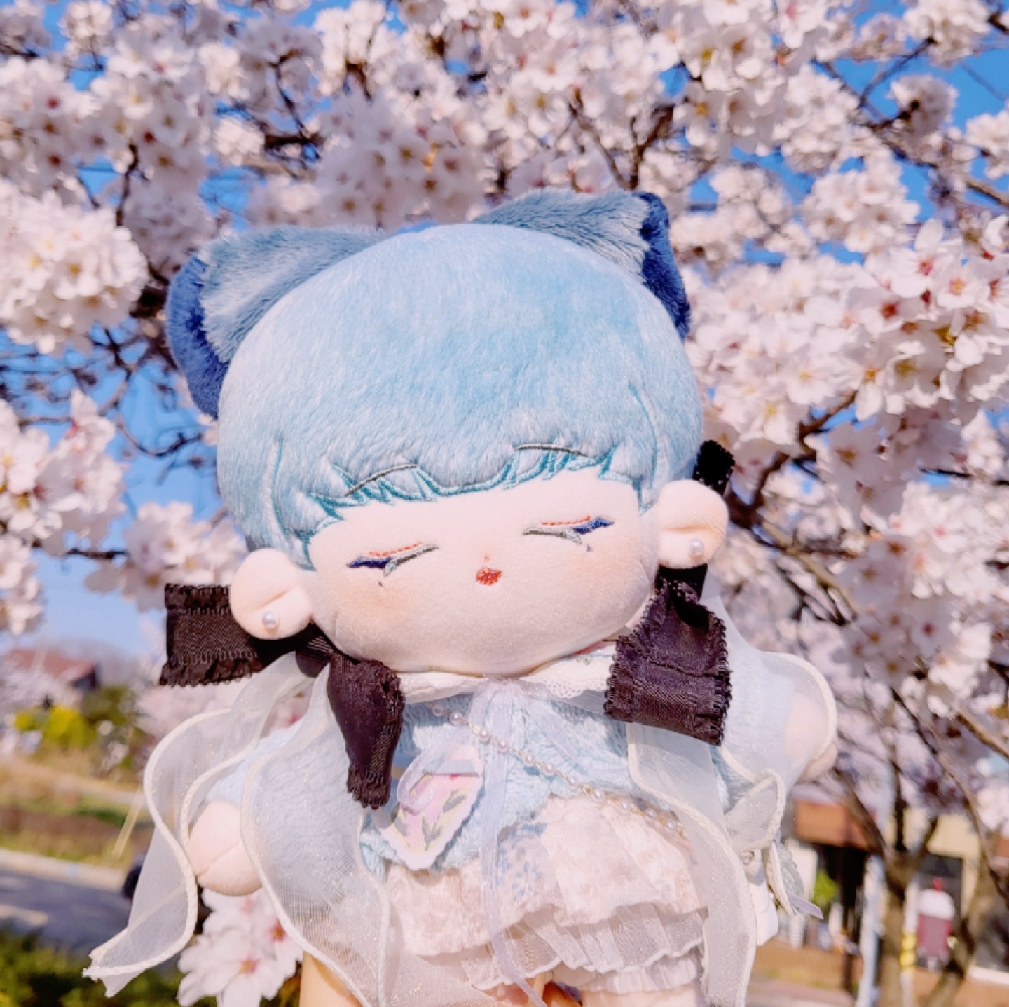 🌸🦋🌸