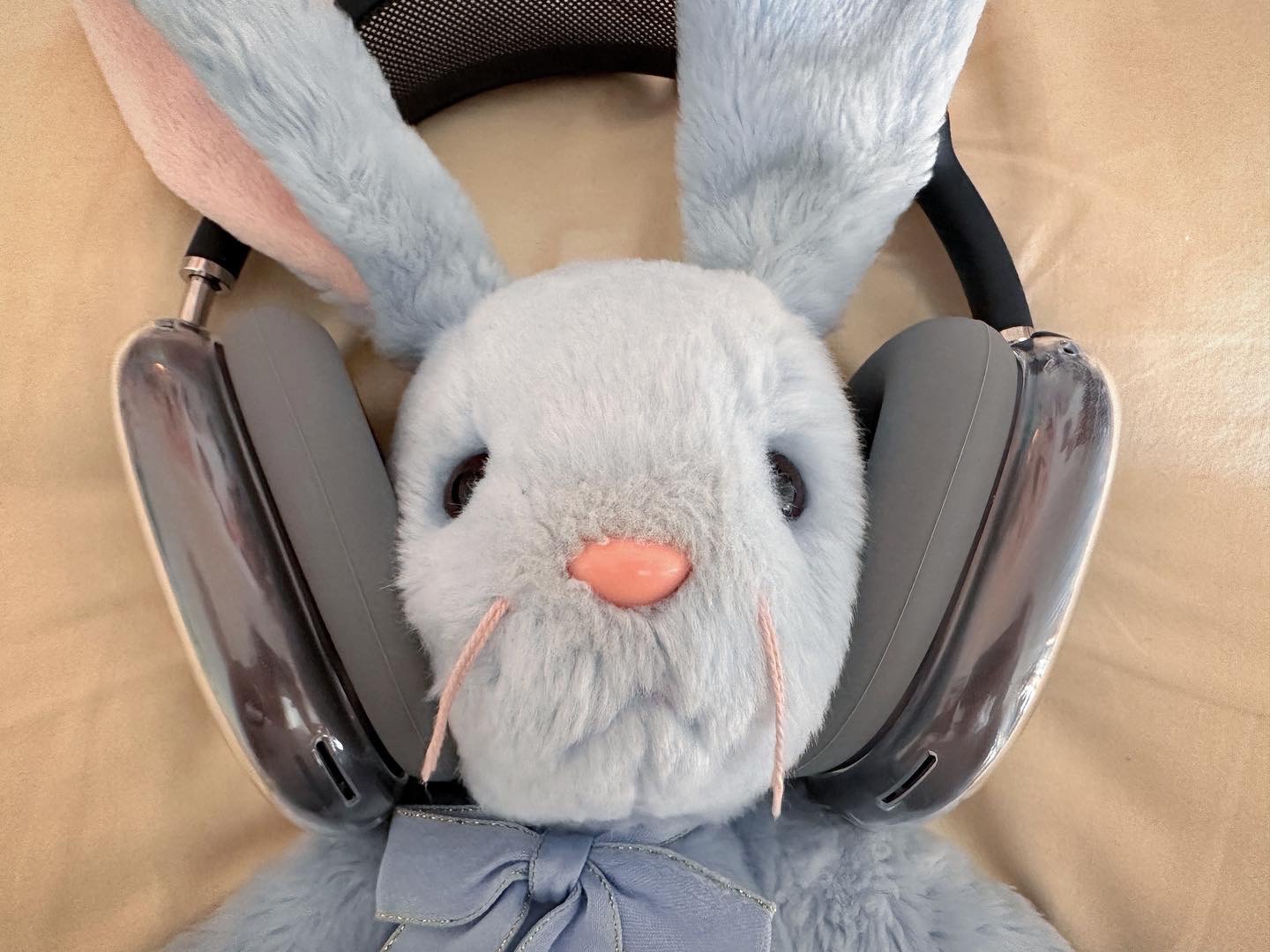 [ty] 버디 뚀끼 🥹🐰💕
