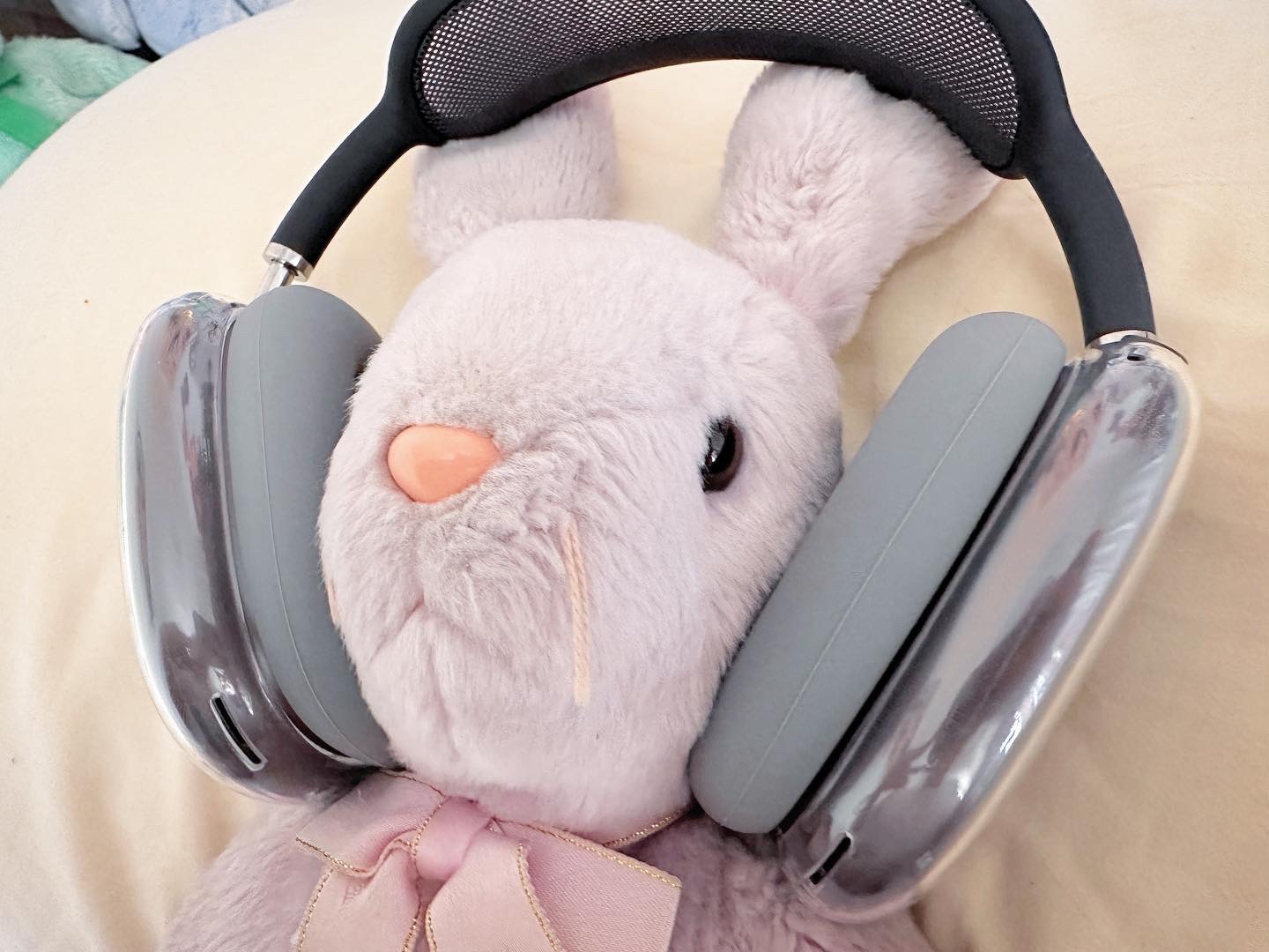 [ty] 버디 뚀끼 🥹🐰💕