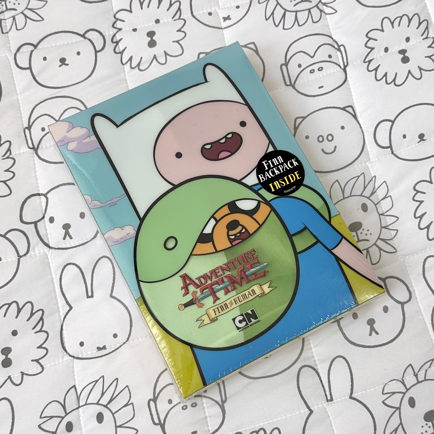 어드벤처 타임 DVD
