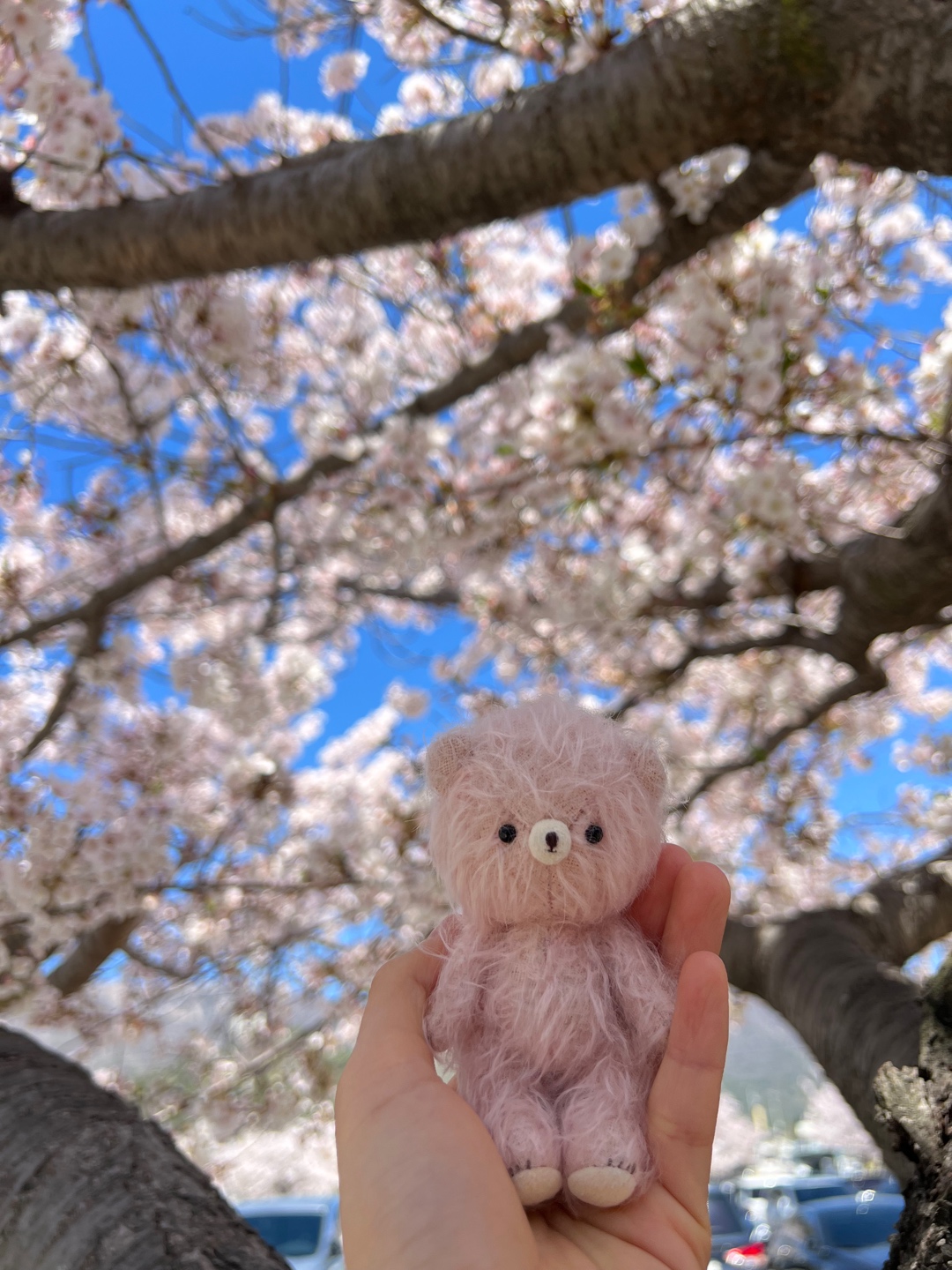 봄도리
