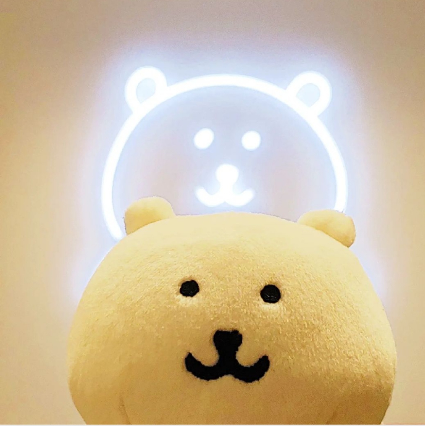 하얀 담곰이와 빛나는  담곰이💡