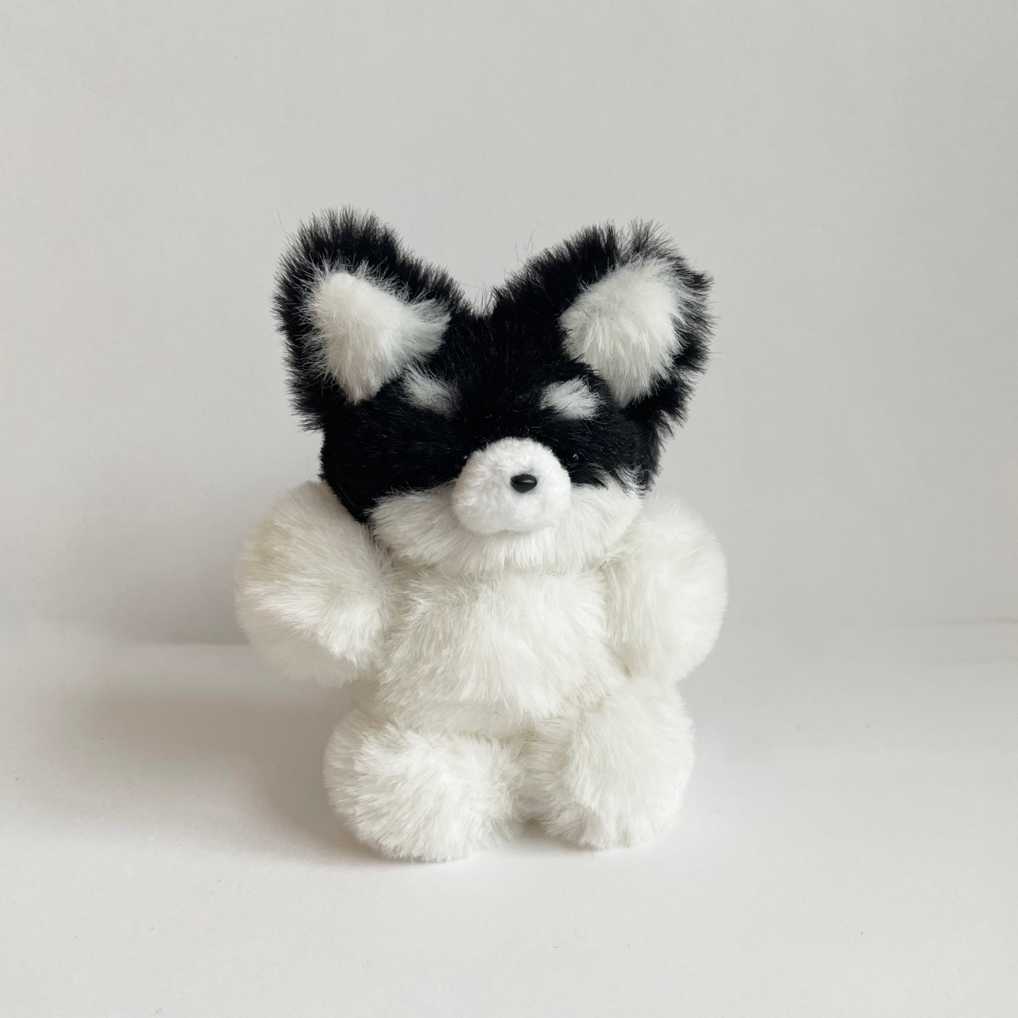 멍멍! 용감한 멍멍이🐾
