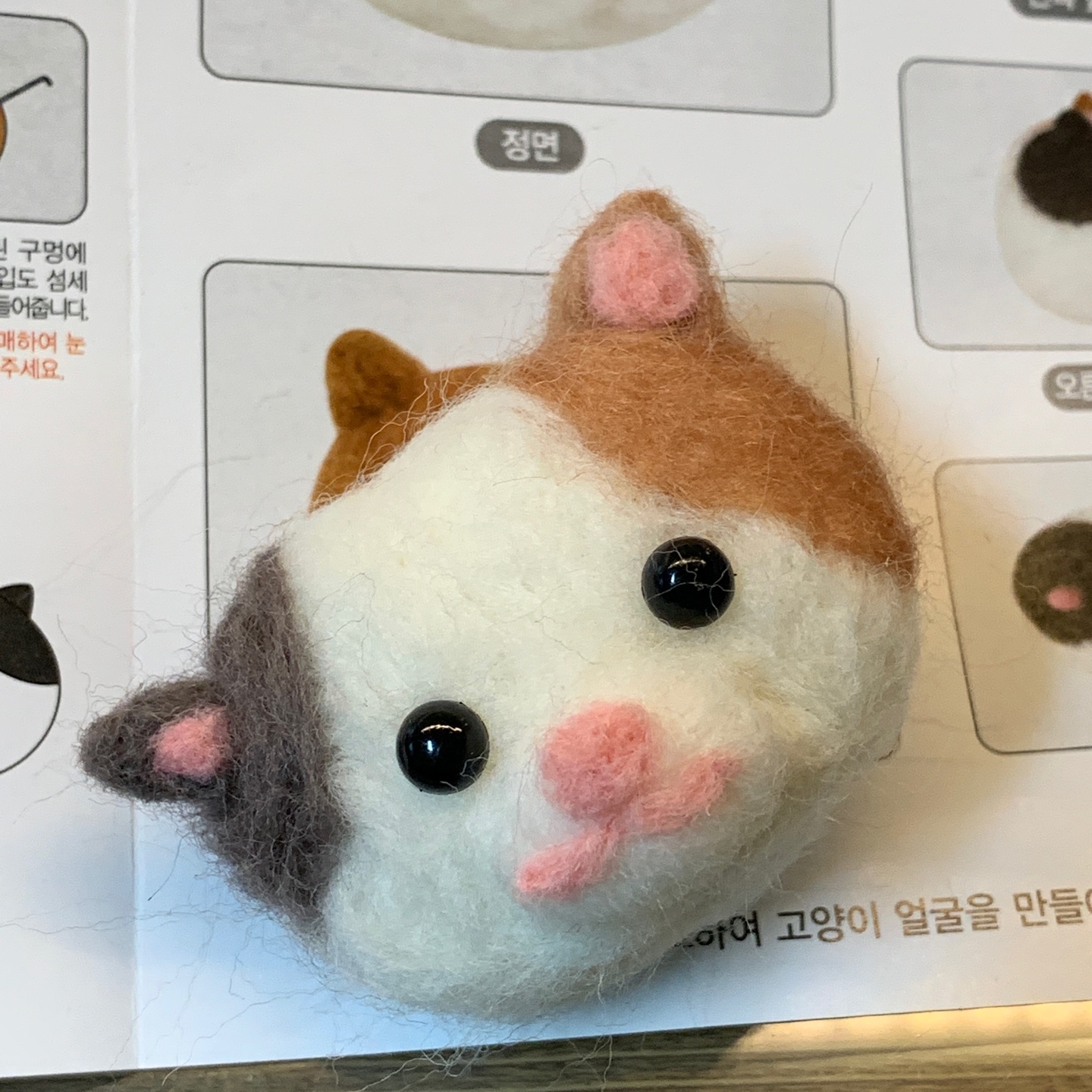 🐈‍⬛ 노력했으나…. 🐈