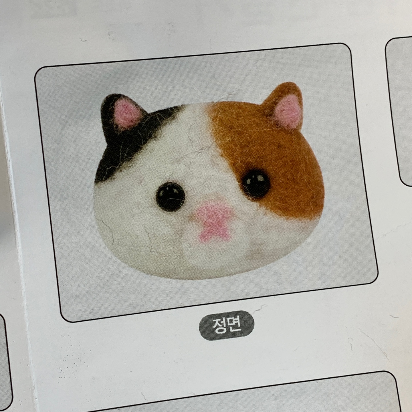 🐈‍⬛ 노력했으나…. 🐈