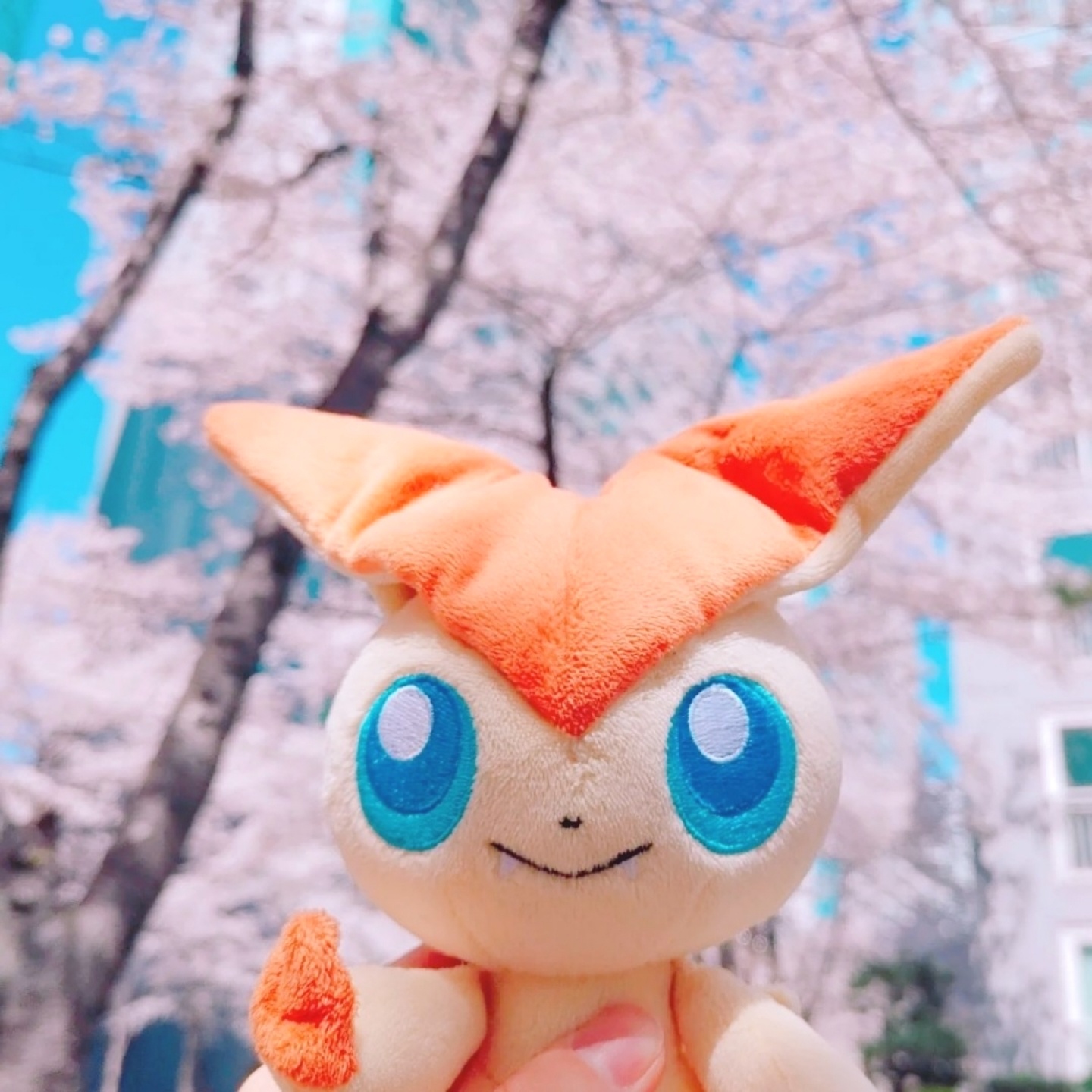 🌸🌸