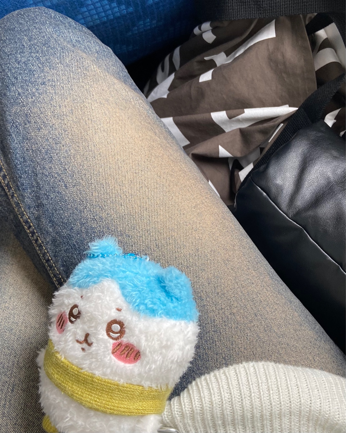 최애와 함께 ✈️🩵 여행
