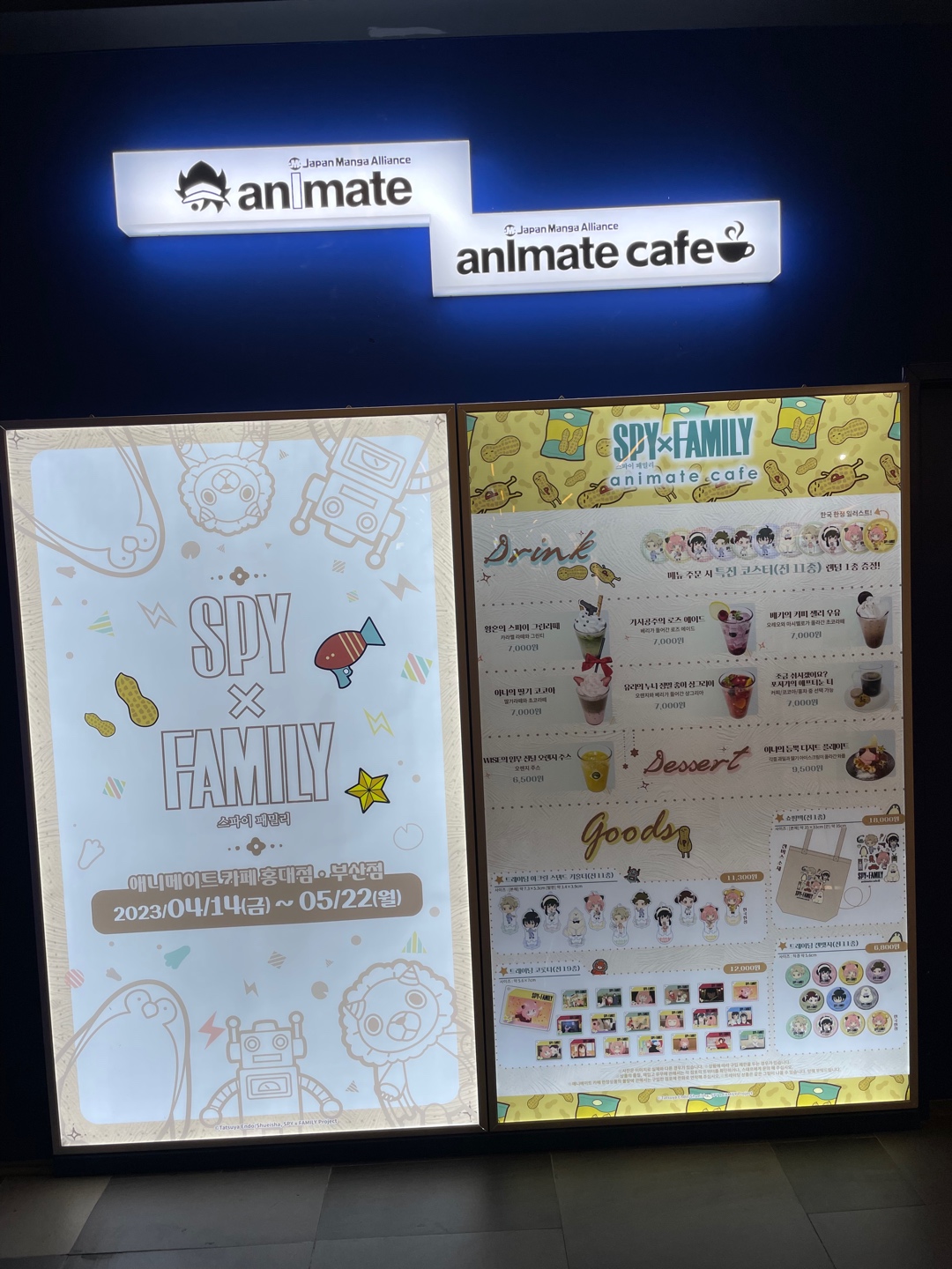 스파이 패밀리 애니메이트 
카페 다녀왔어요‼️