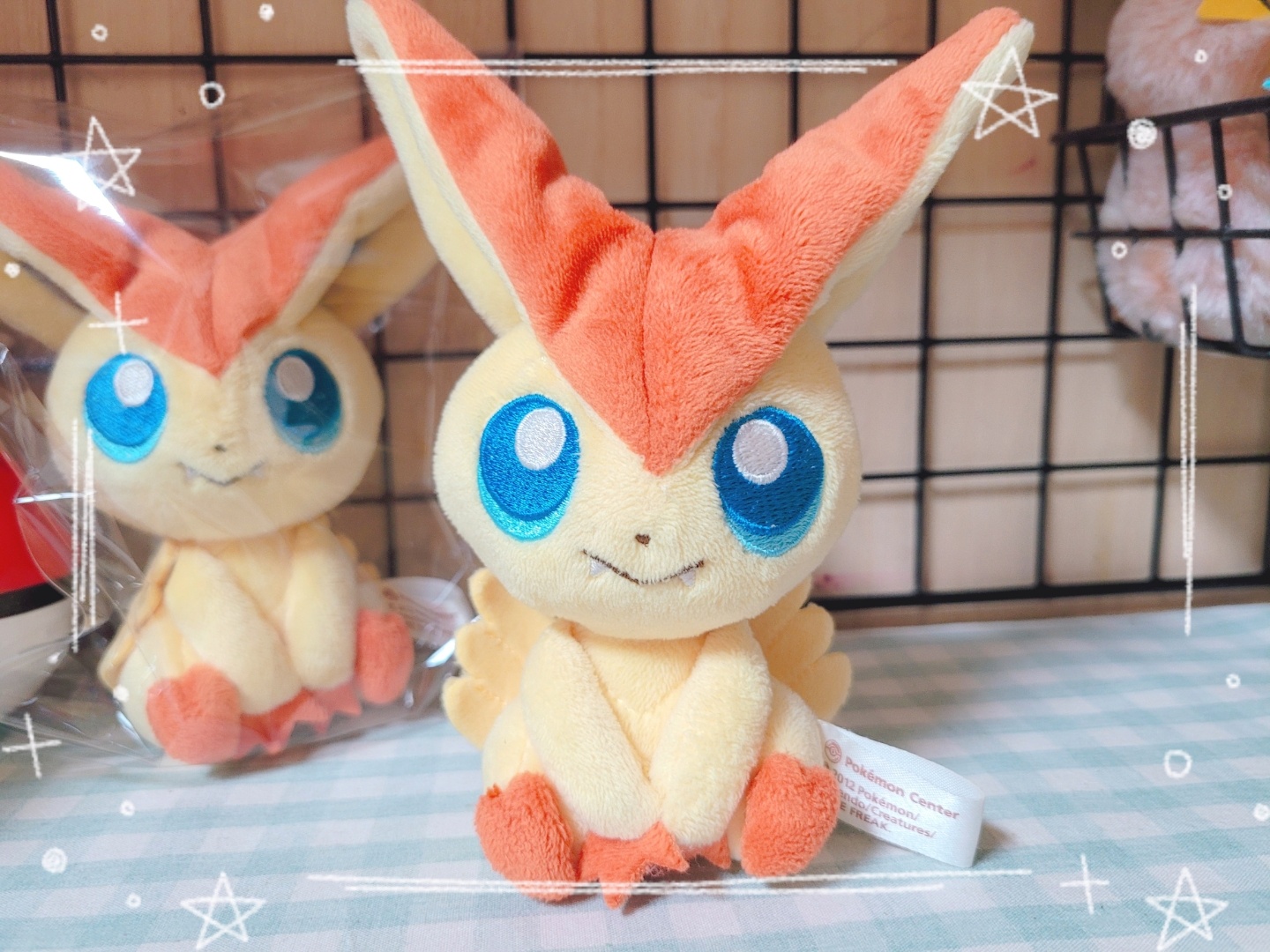 🎨캔버스 비크티니🖌