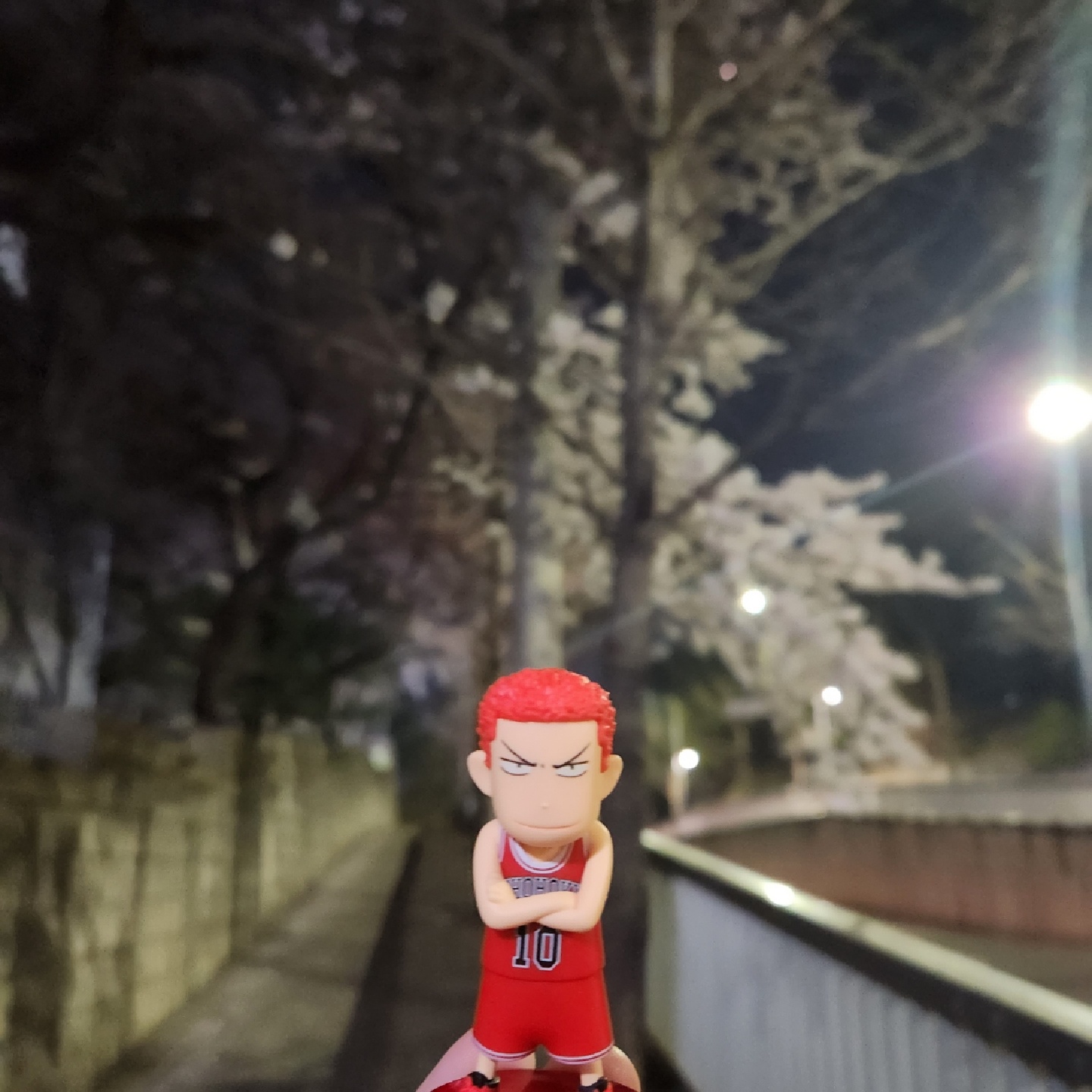 백호와 피크닉