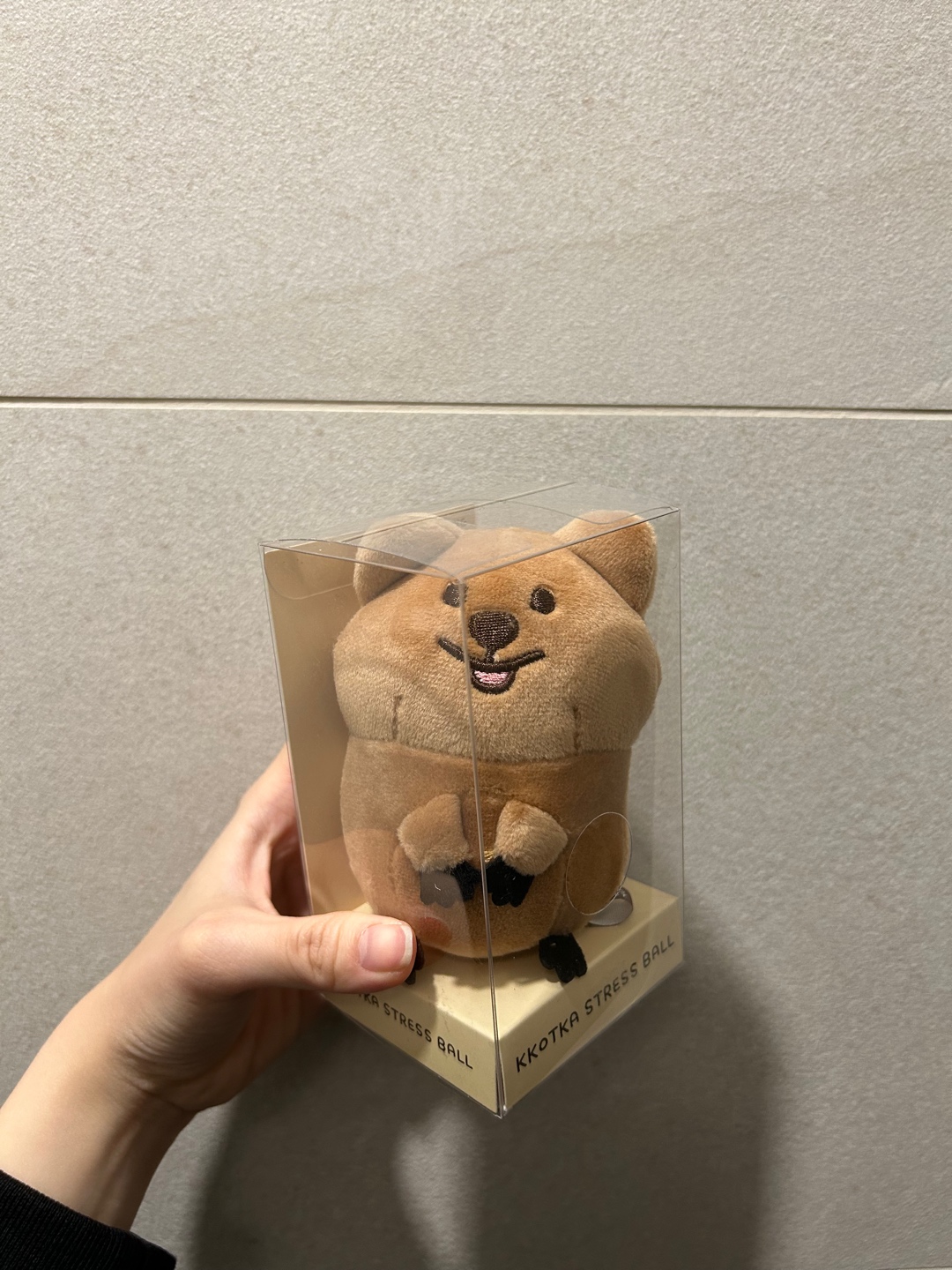 실내 피크닉