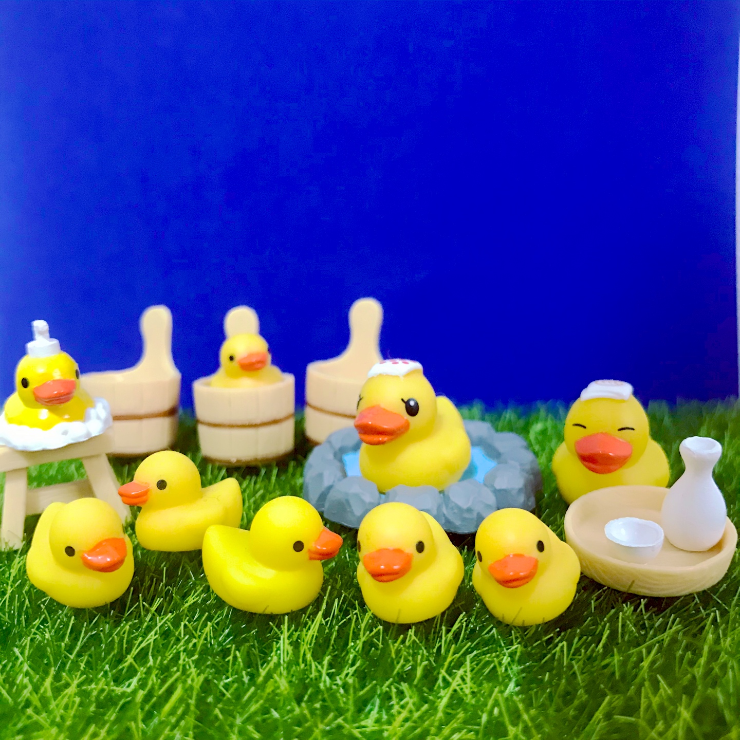 🐥🐥🐥🐥🐥