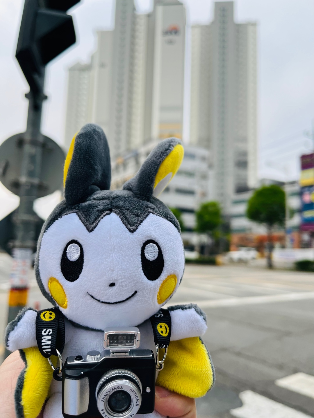 출근길 동행