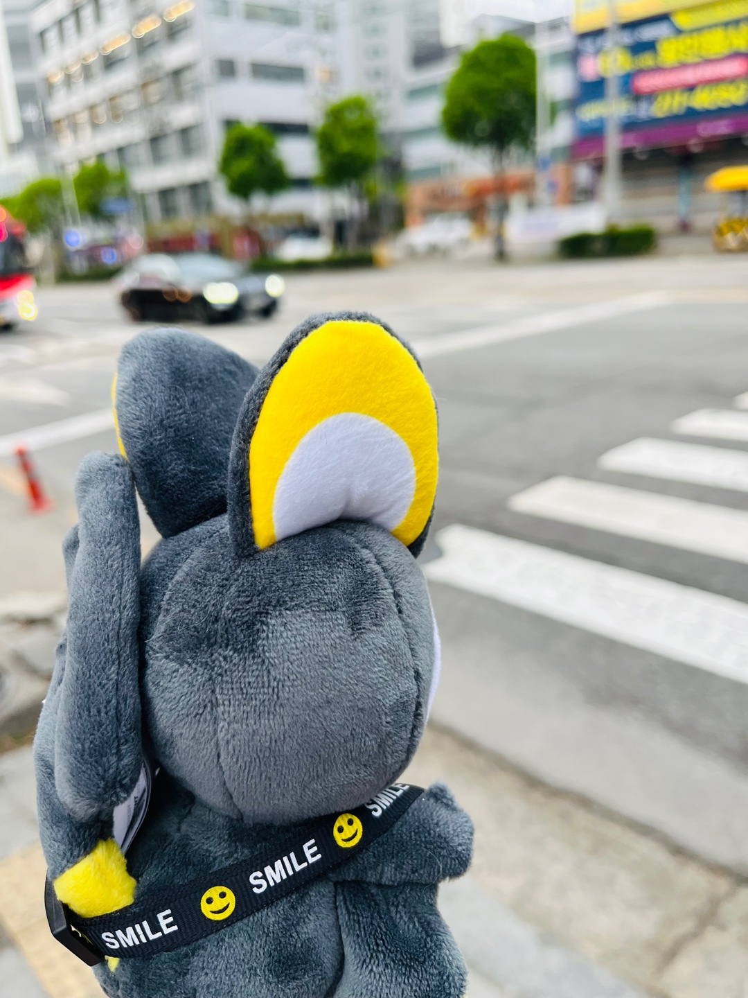 출근길 동행
