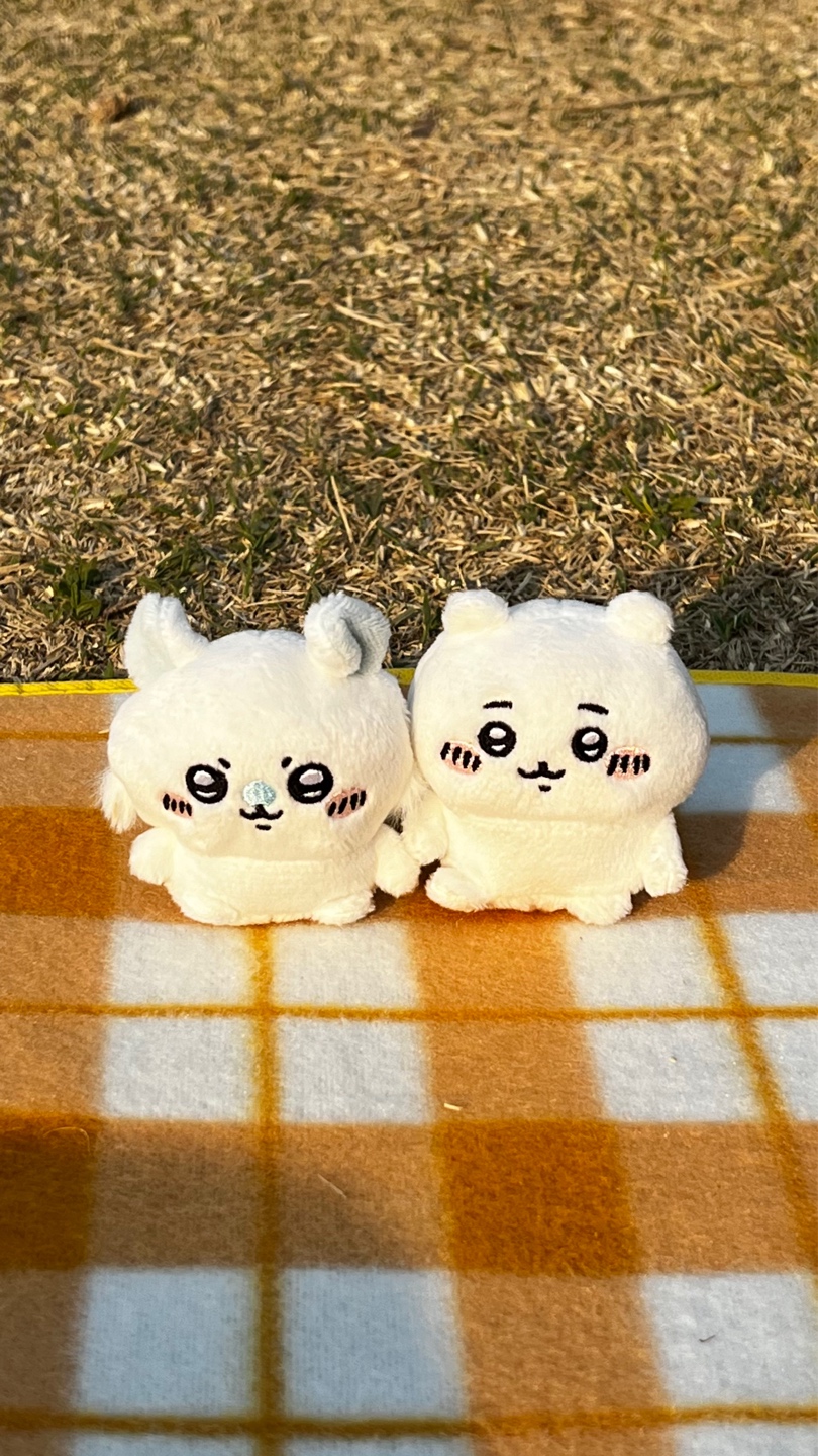[최애와 함께] 피크닉 함께🥰